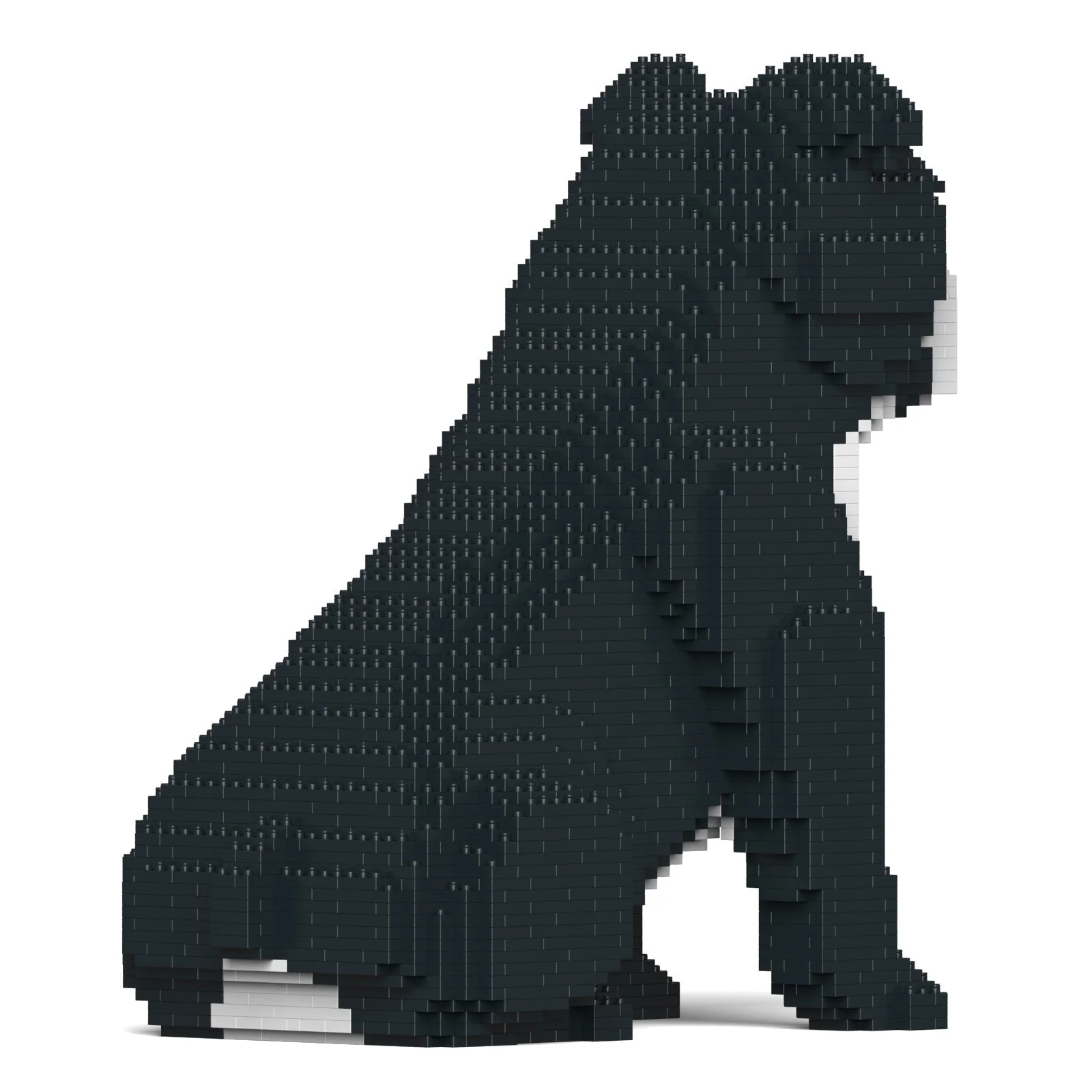 English Bulldog 4-in-1 Pack 01-M04 - Image 9