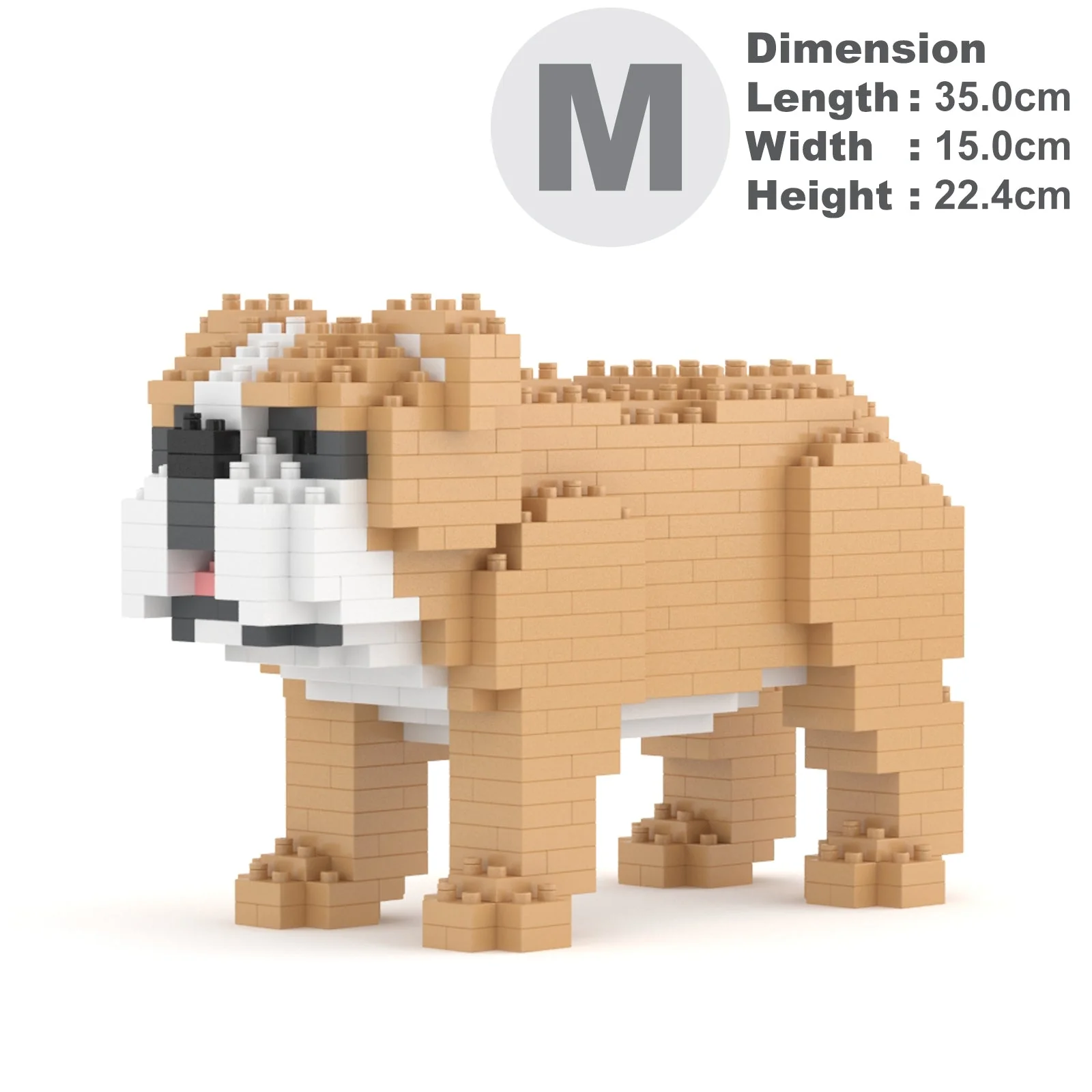 English Bulldog Mini 01 - Image 5