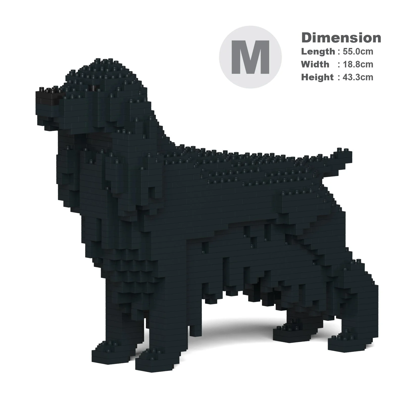 English Cocker Spaniel 01-M02 - Image 5