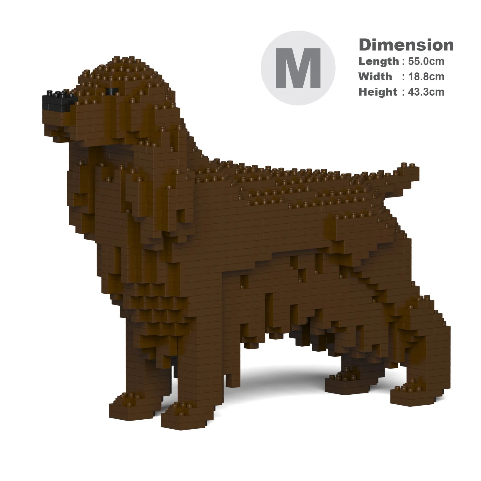 English Cocker Spaniel 01-M04 - Image 5