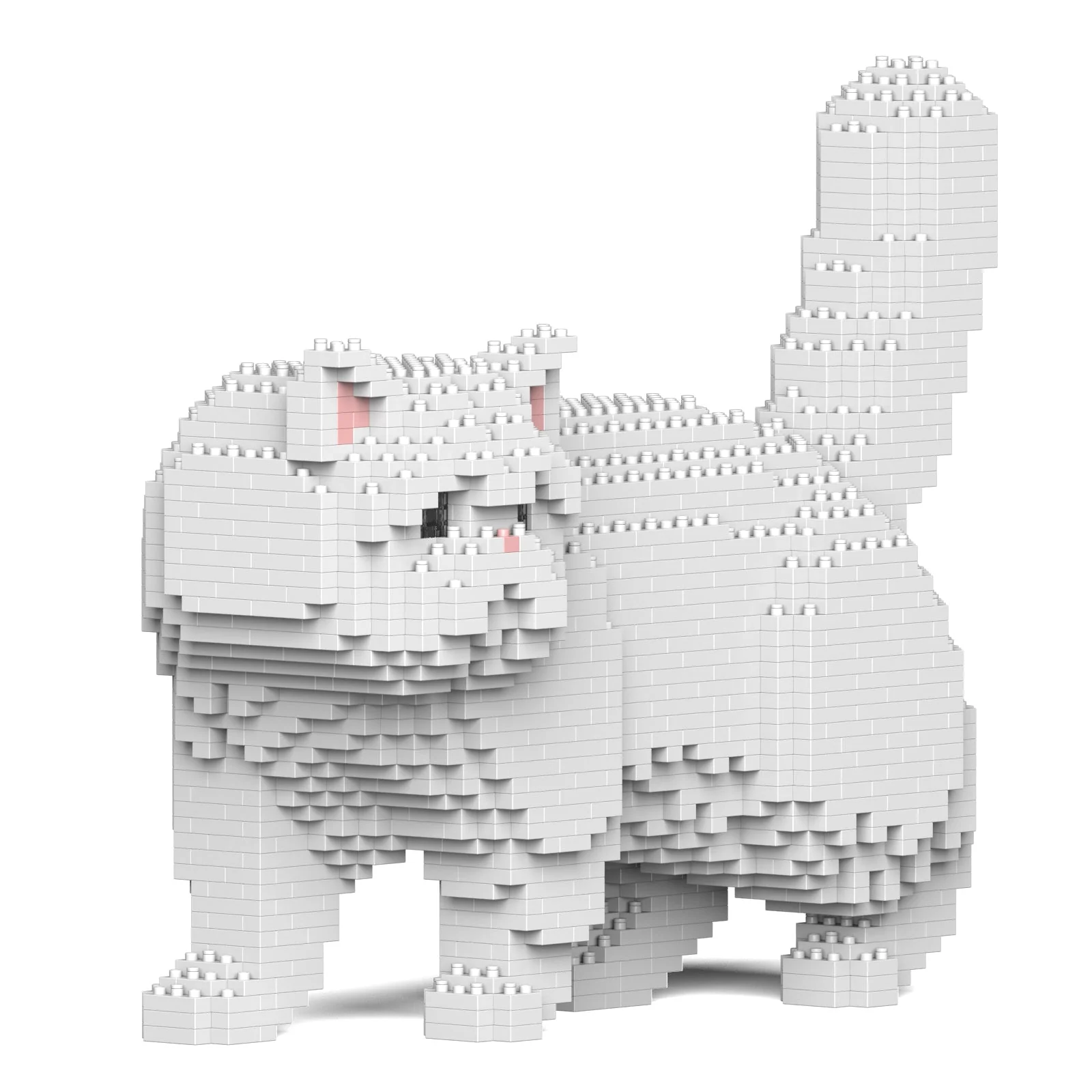 Exotic Shorthair Cat 01S-M03 - Image 2