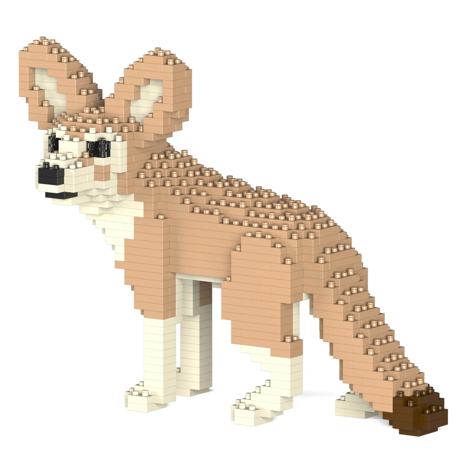 Fennec Fox 01 - Image 3