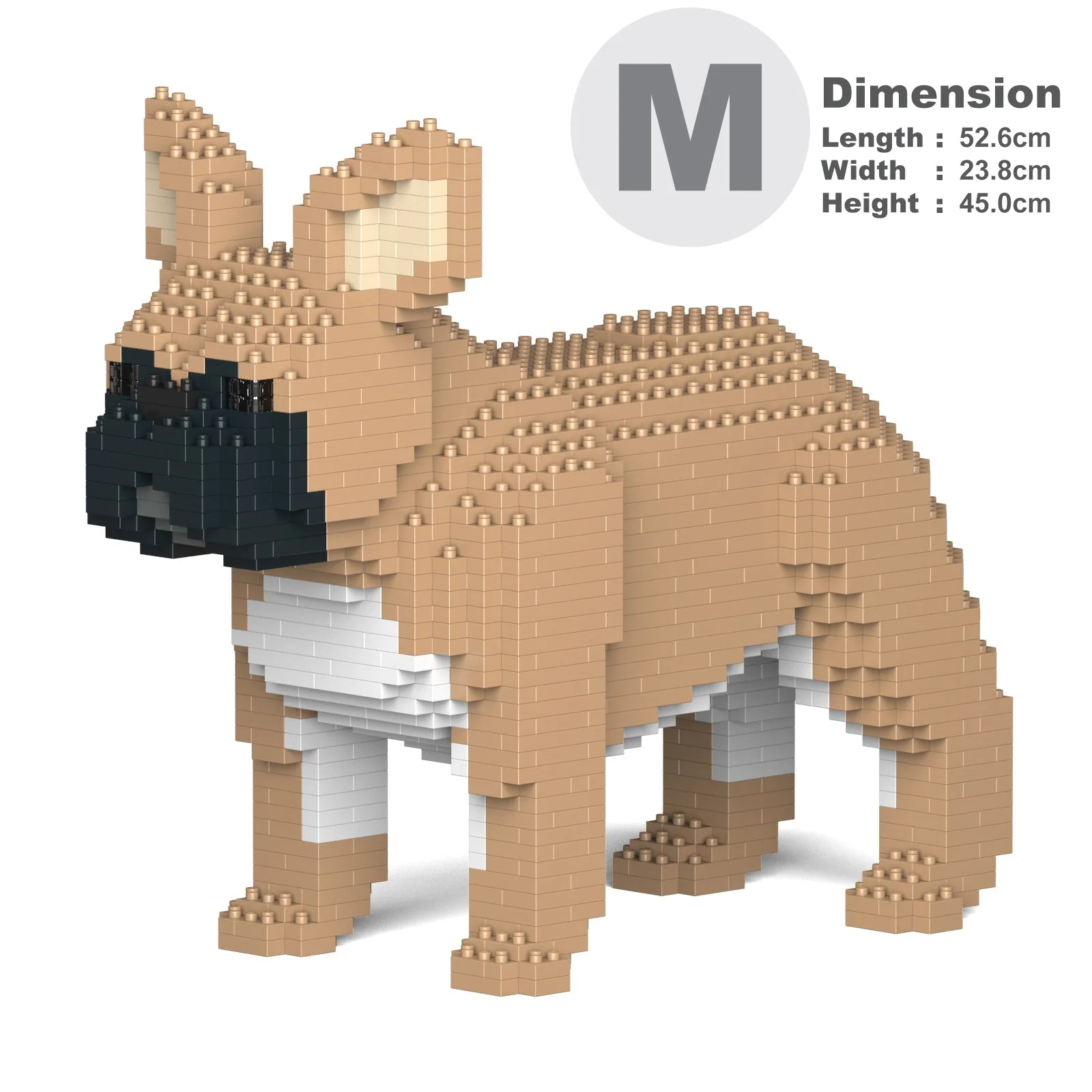 French Bulldog 02-M01 - Image 5