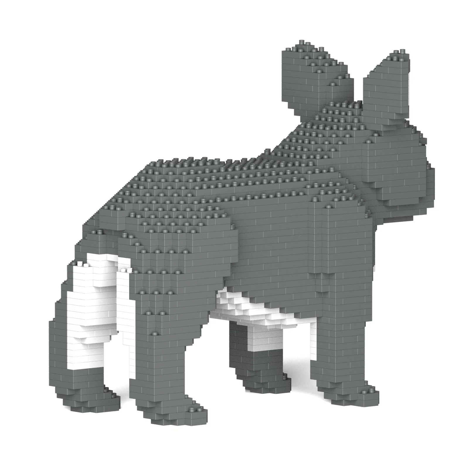 French Bulldog 02-M05 - Image 4