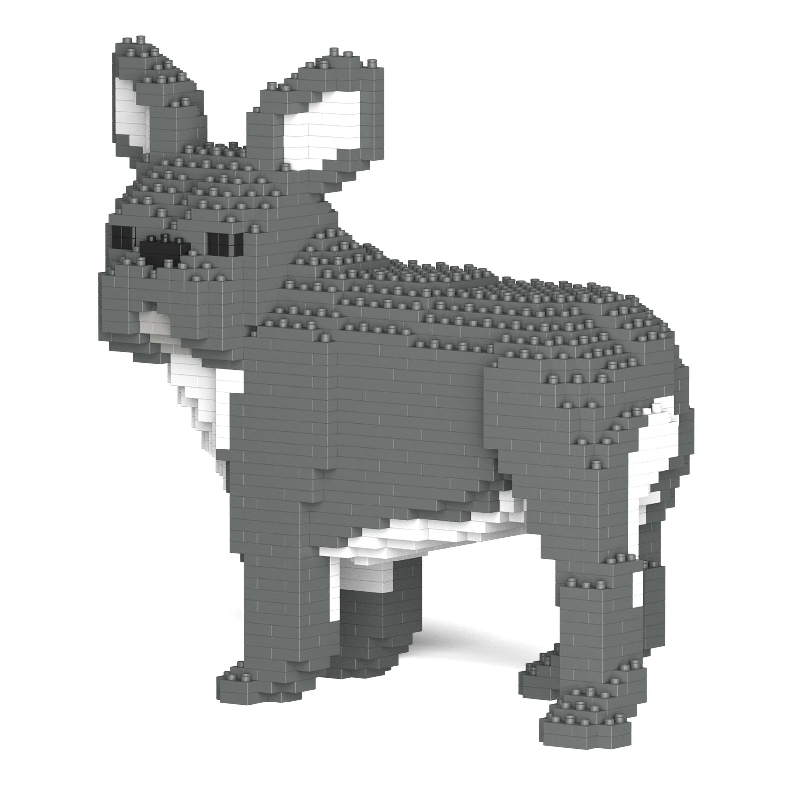 French Bulldog 03-M05 - Image 3