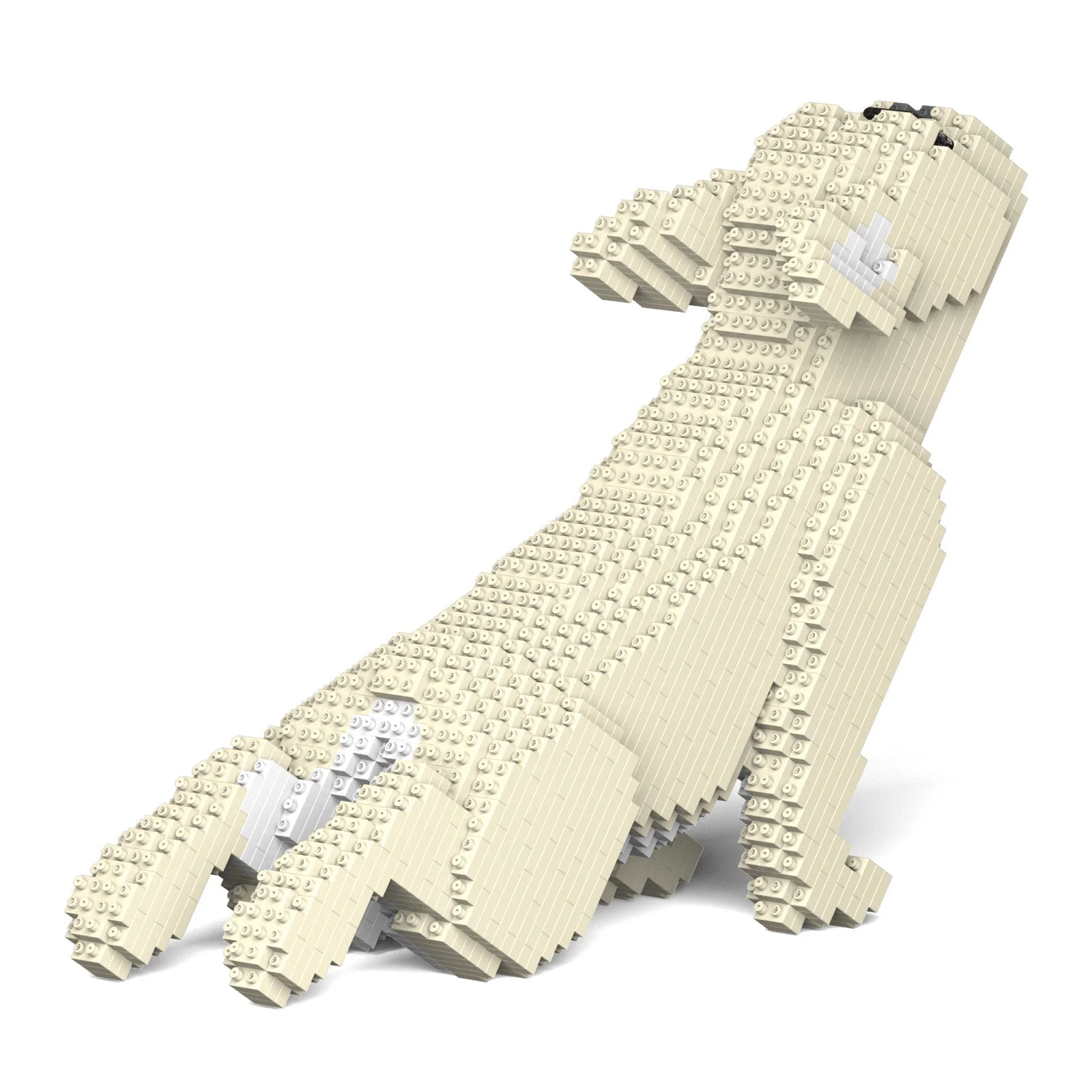 French Bulldog 05-M02 - Image 3