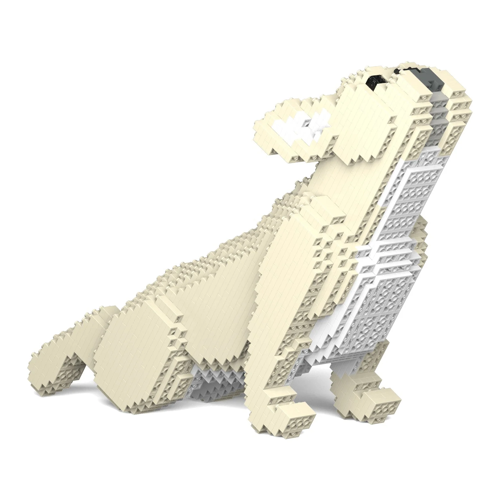 French Bulldog 05-M02 - Image 4