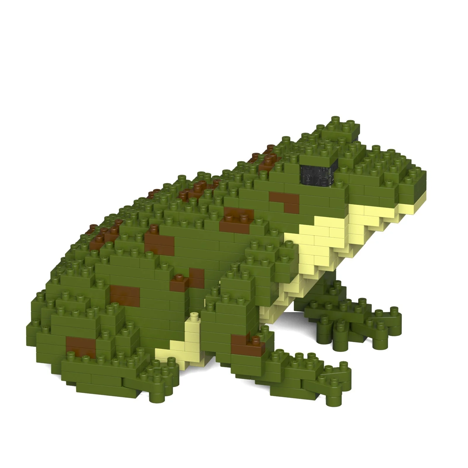 Frog 01-M02 - Image 4