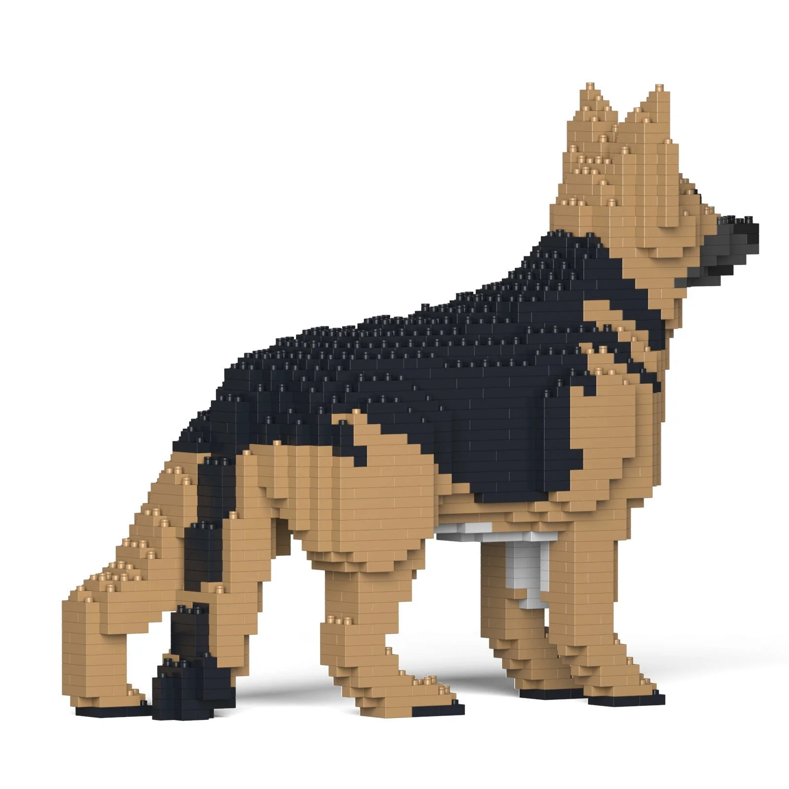 German Shepherd 01-M01 - Image 4