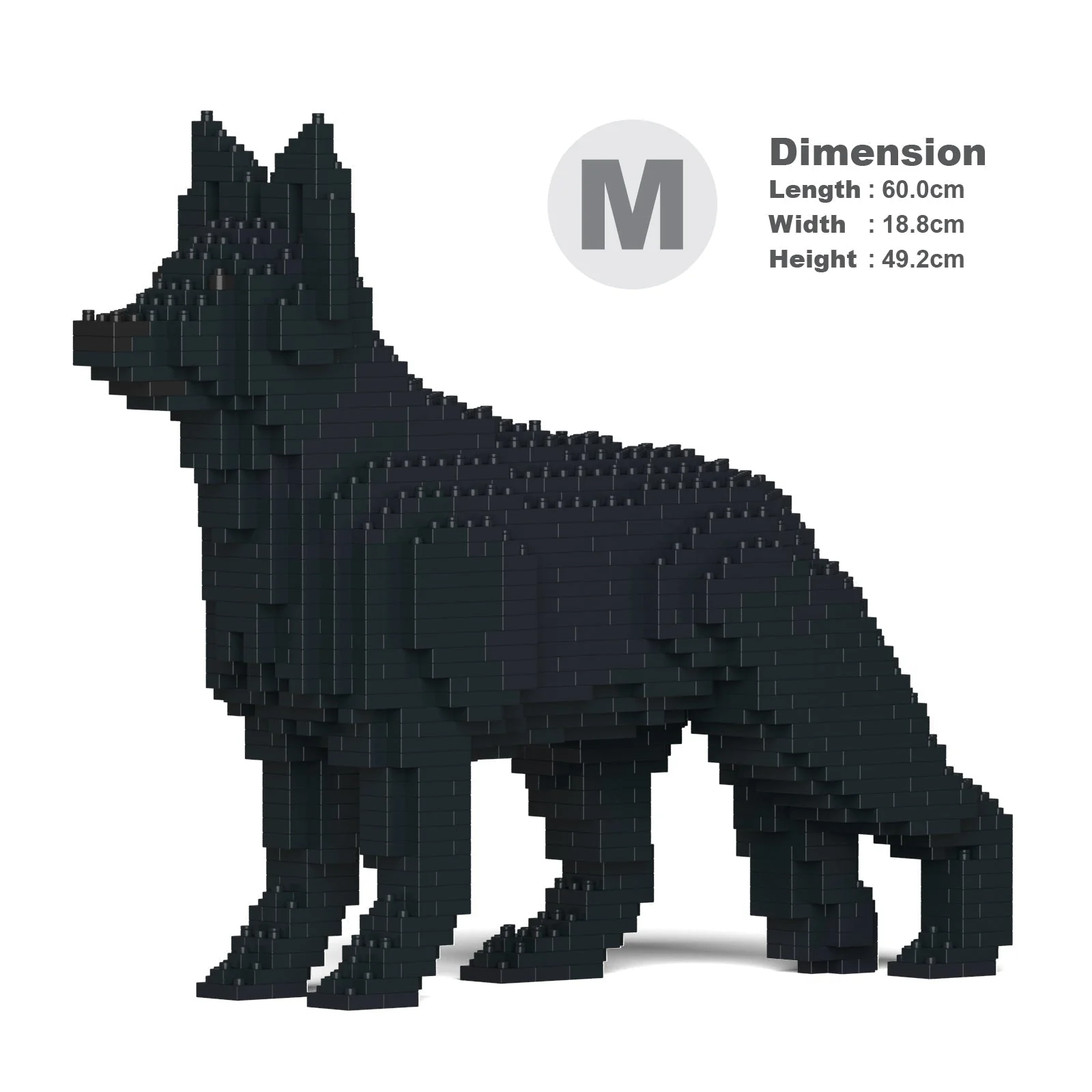 German Shepherd 01-M03 - Image 5