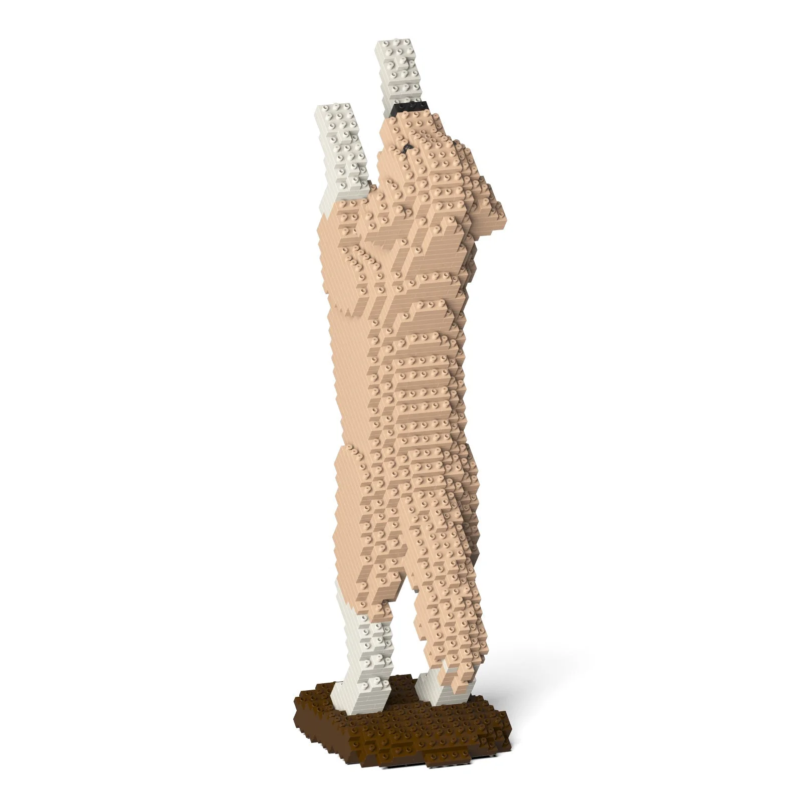Golden Retriever 04-M01 - Image 4