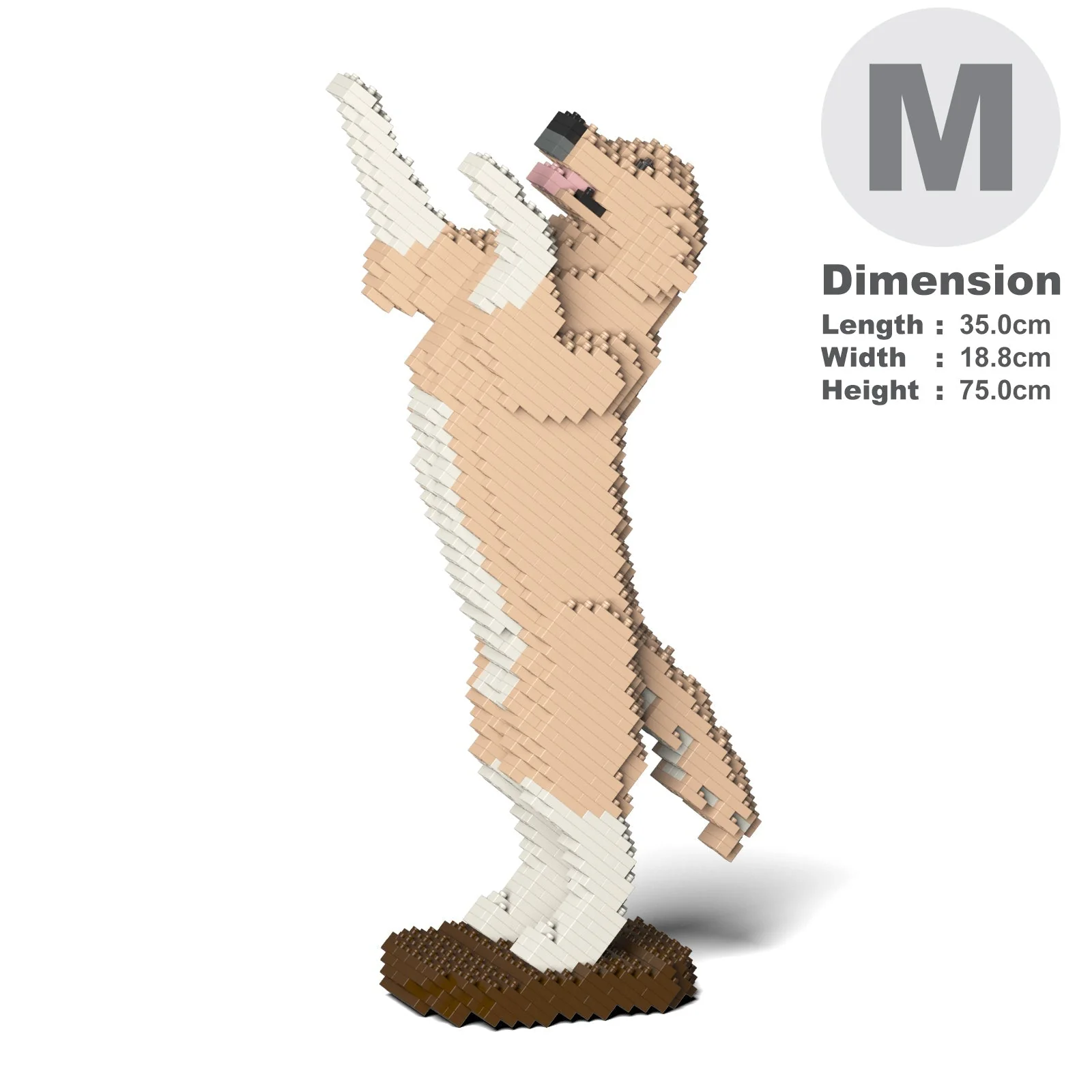 Golden Retriever 04-M01 - Image 5