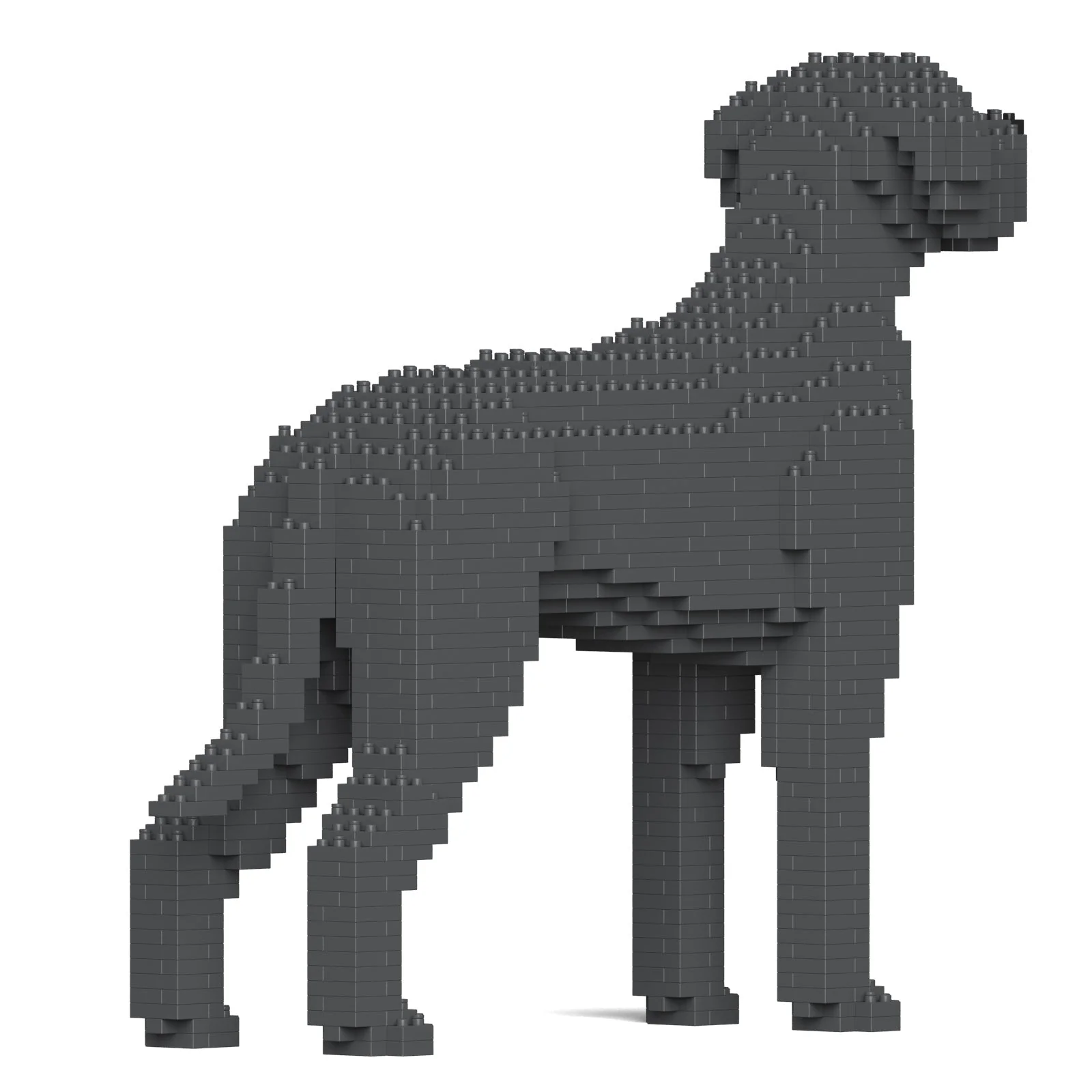 Great Dane 01-M03 - Image 4