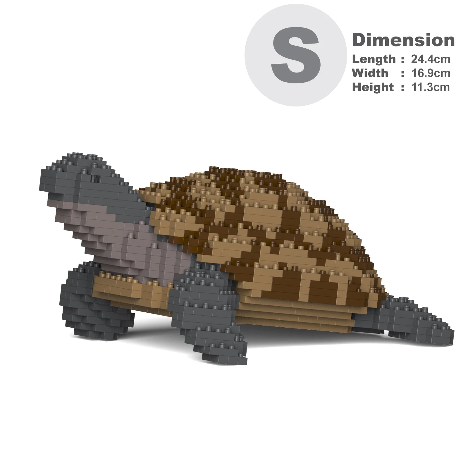 Greek Tortoise 01 - Image 2