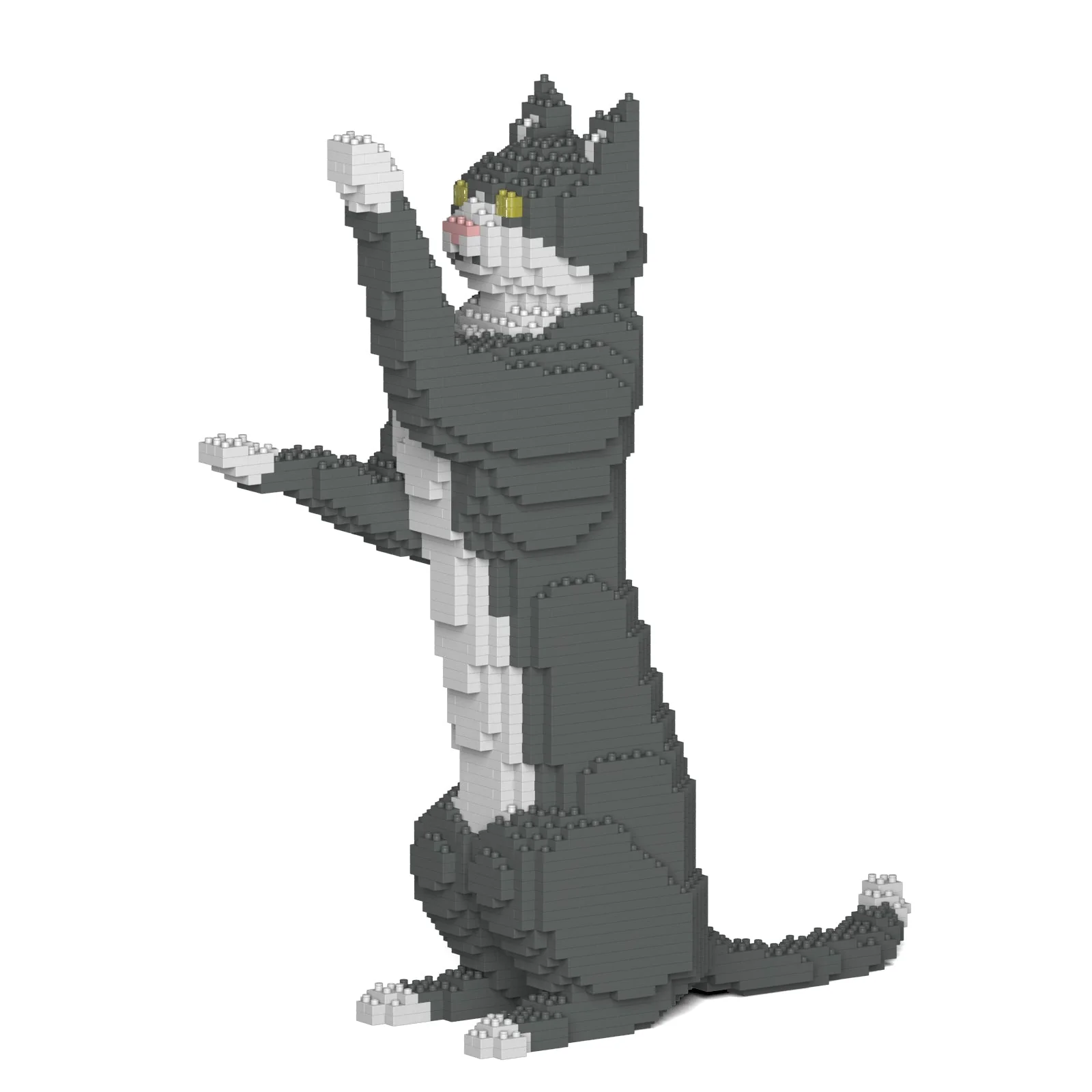 Grey Tuxedo Cat 05S - Image 5