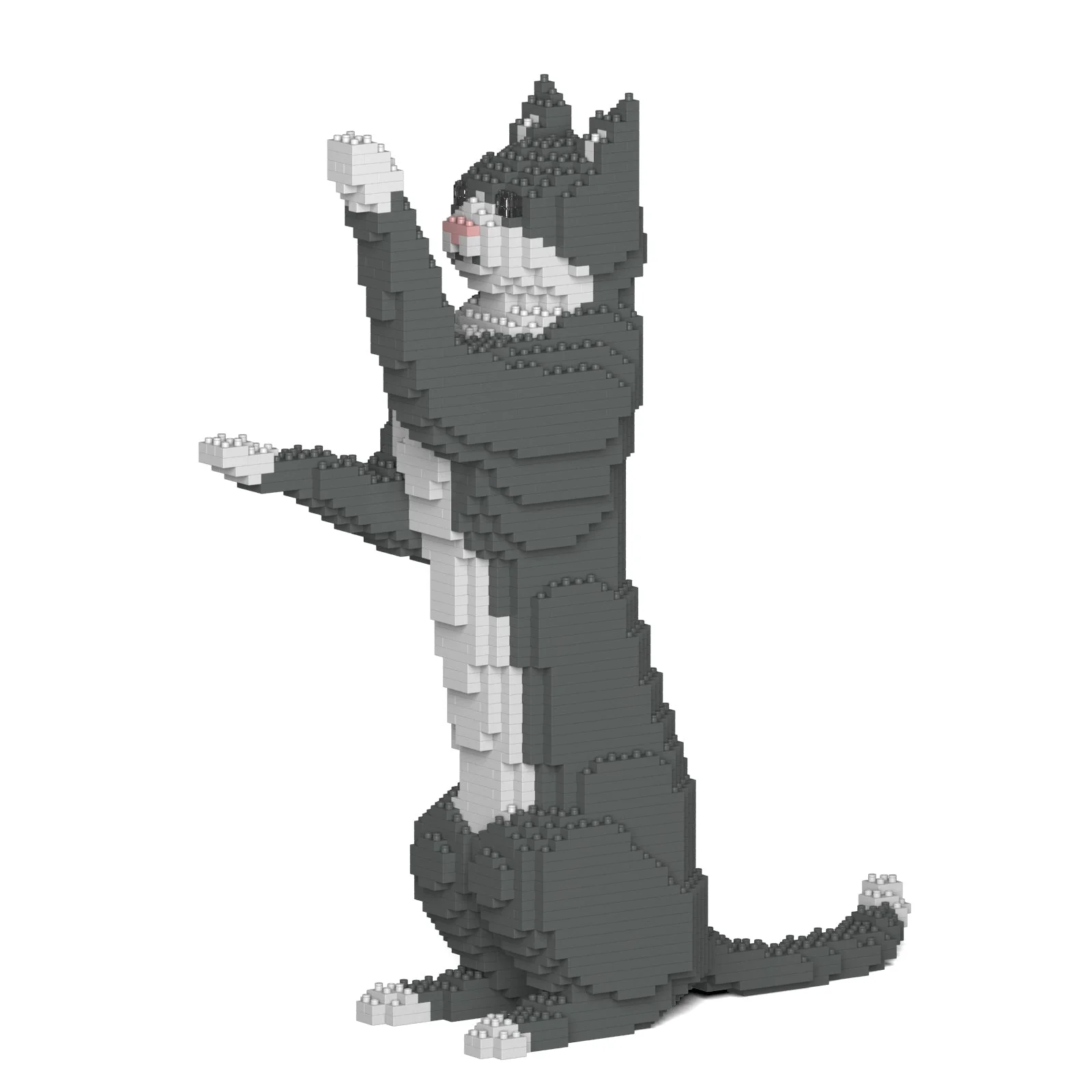 Grey Tuxedo Cat 05S - Image 6