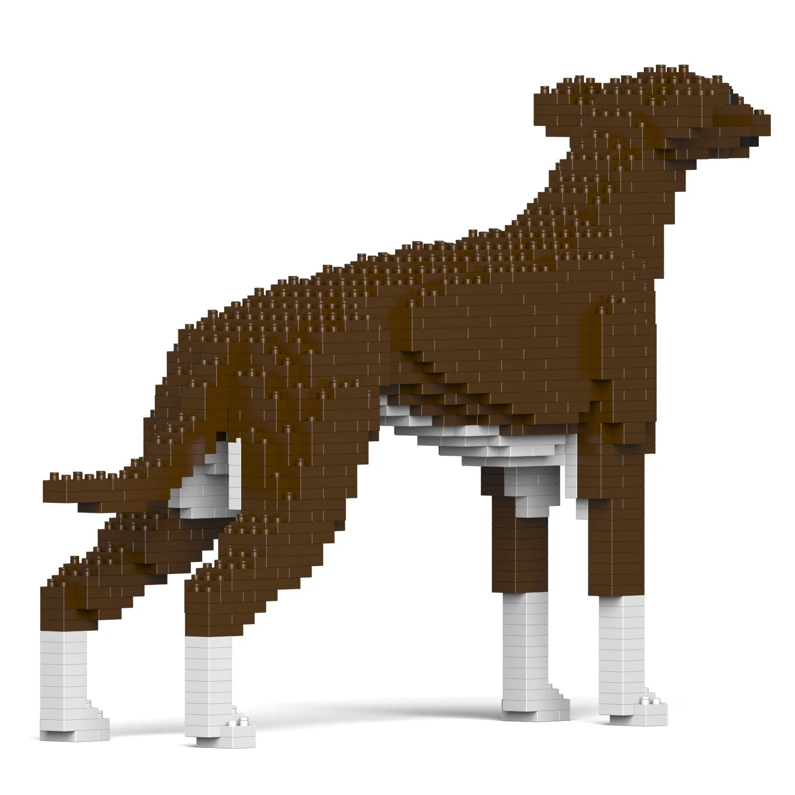 Greyhound 01-M04 - Image 4