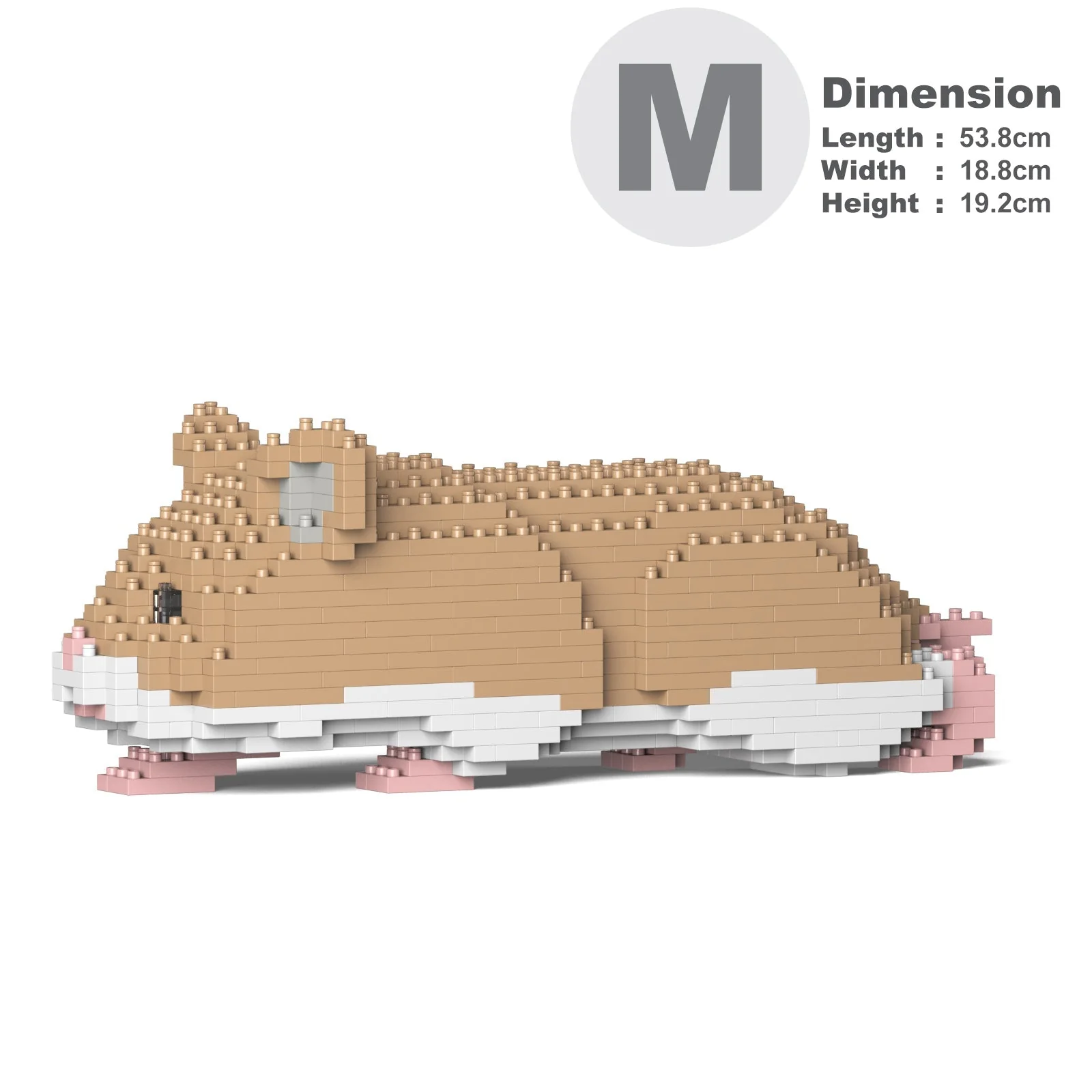 Hamster 03-M01 - Image 5