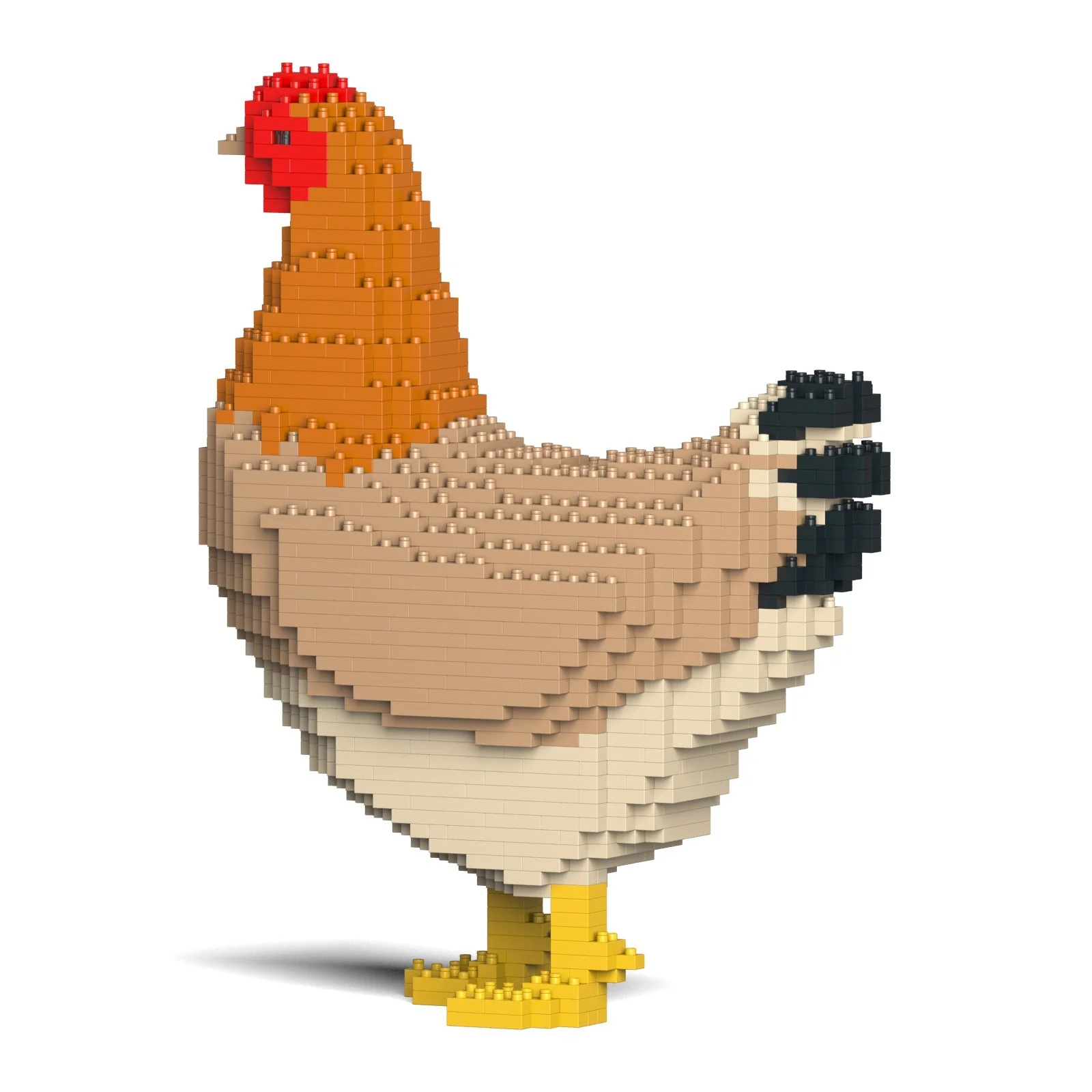 Hen 01 - Image 3