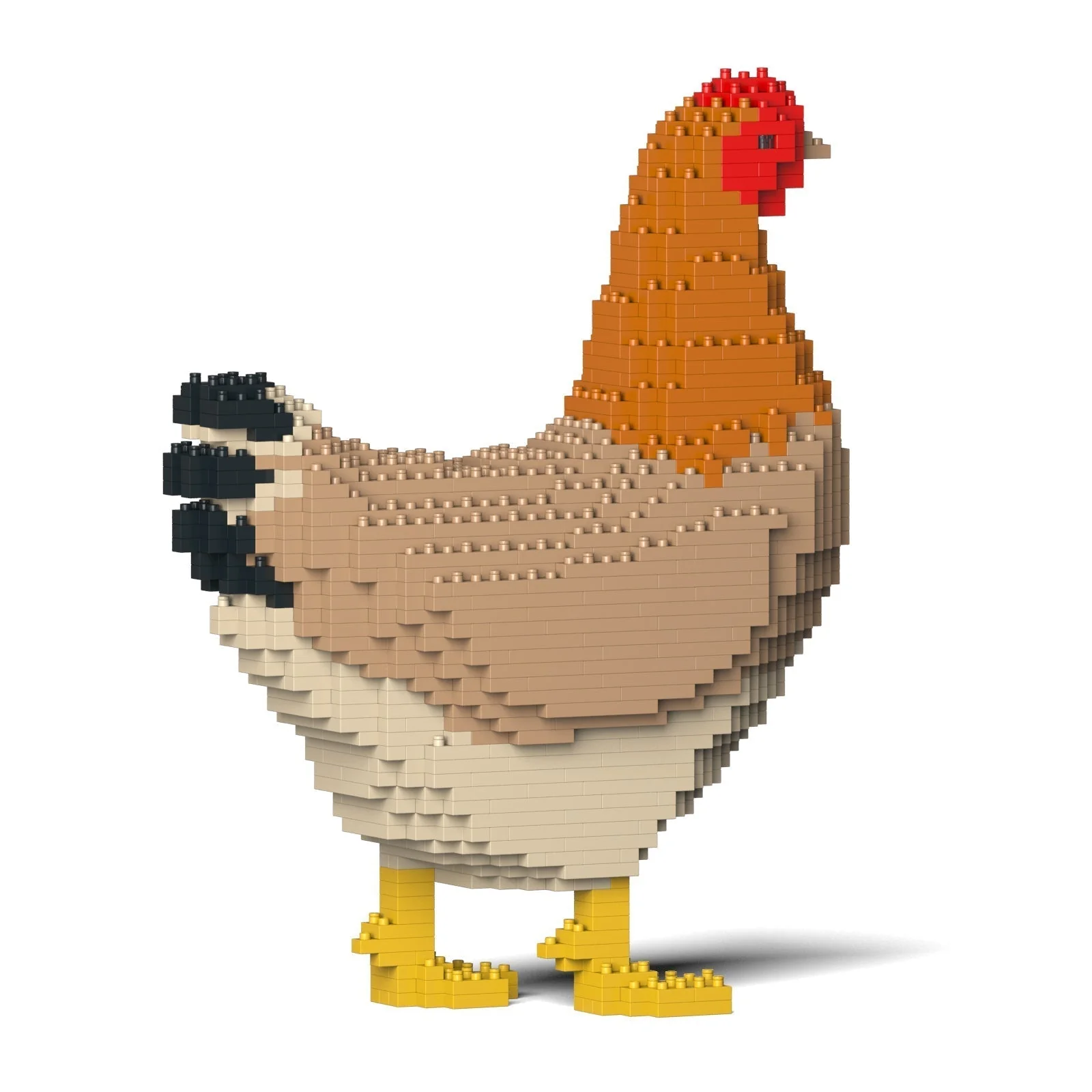 Hen 01 - Image 4
