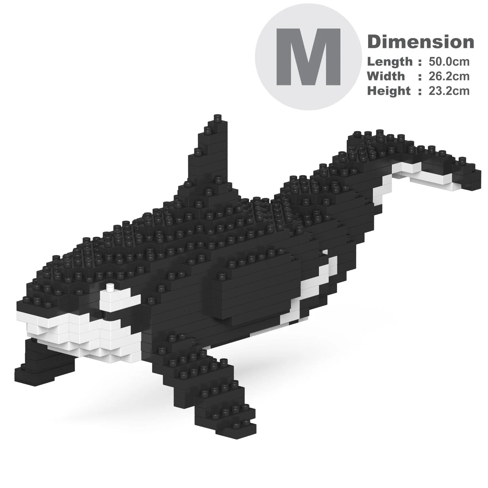 Killer Whale 01 - Image 3