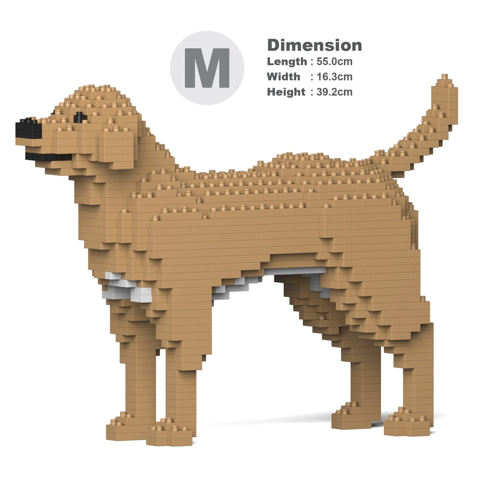 Labrador Retriever 01-M04 - Image 5