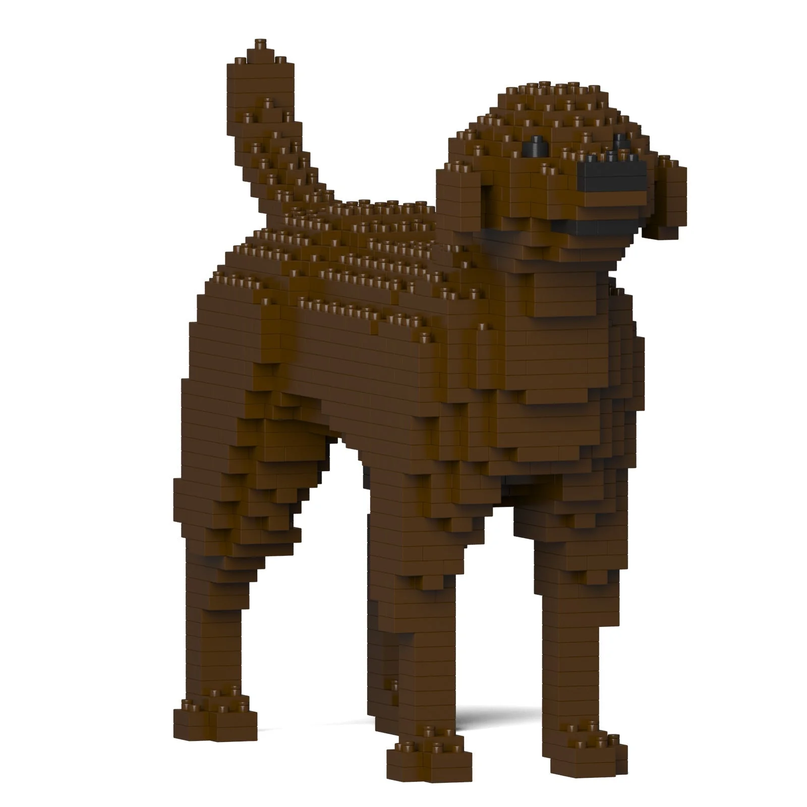 Labrador Retriever 01-M05 - Image 3