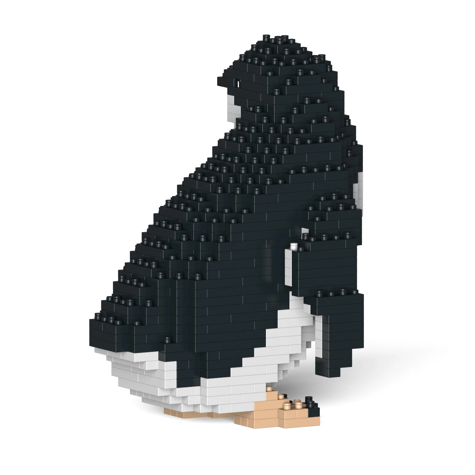 Little Penguin 02 - Image 4