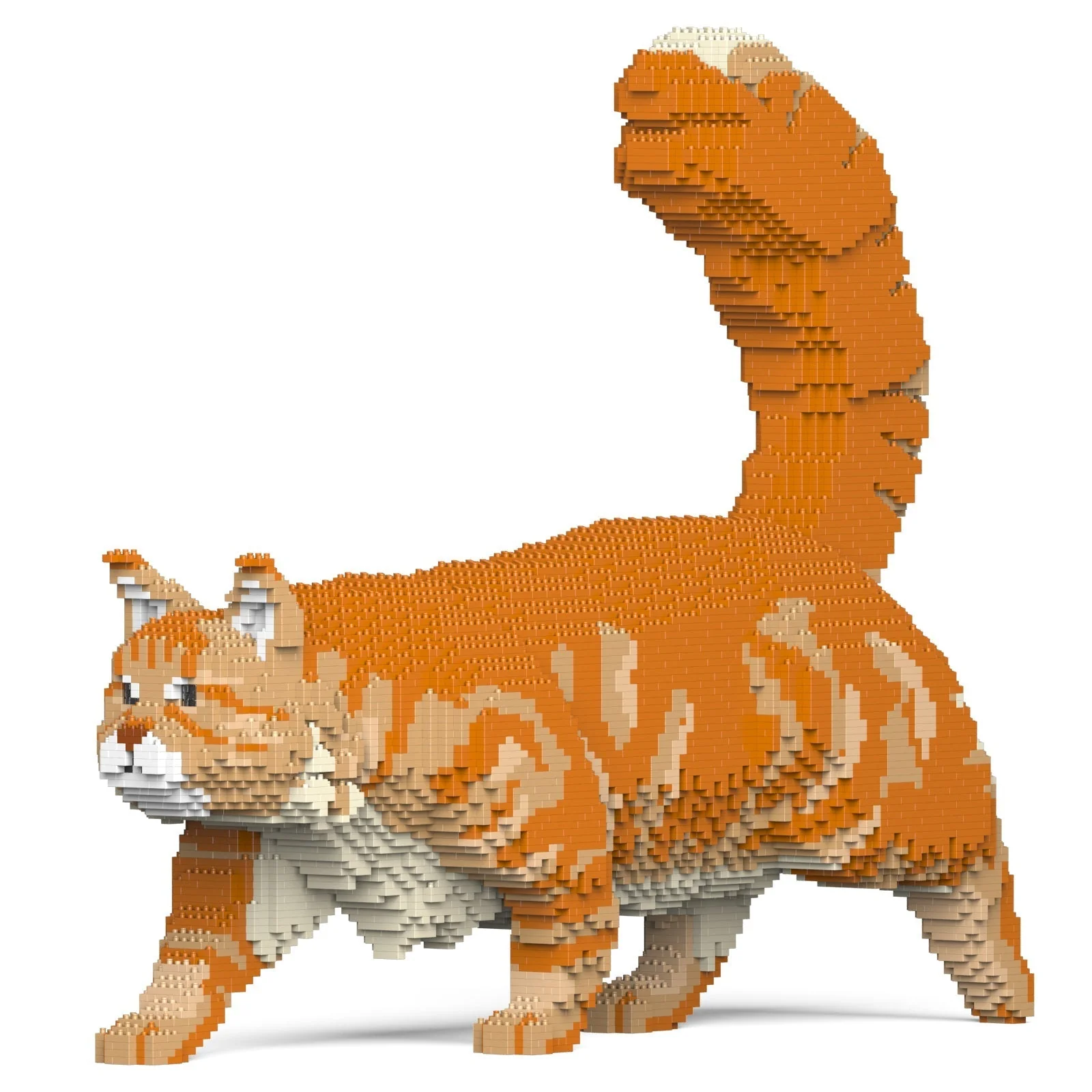 Maine Coon 02S-M01 - Image 4