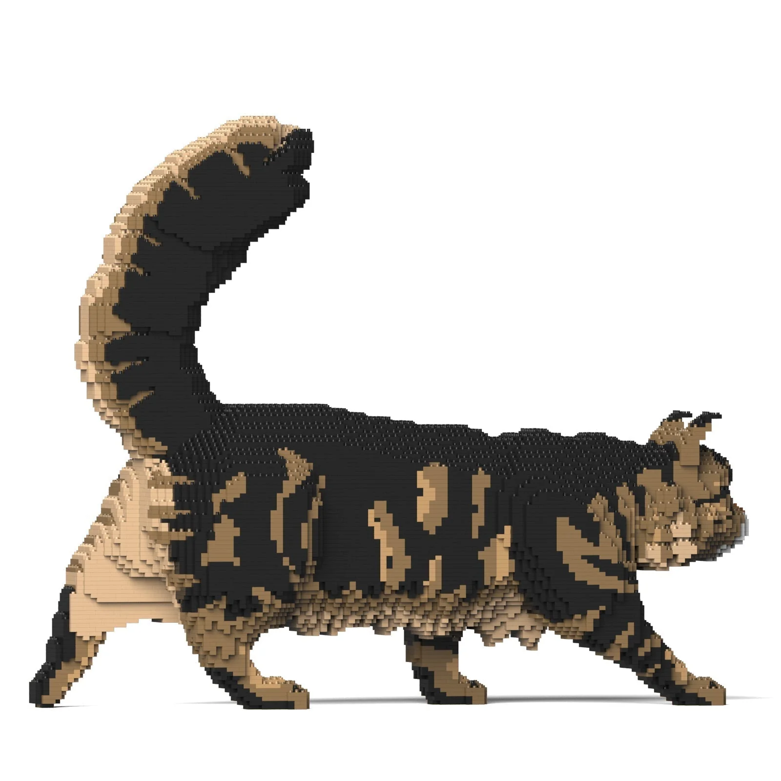 Maine Coon 02S-M03 - Image 3