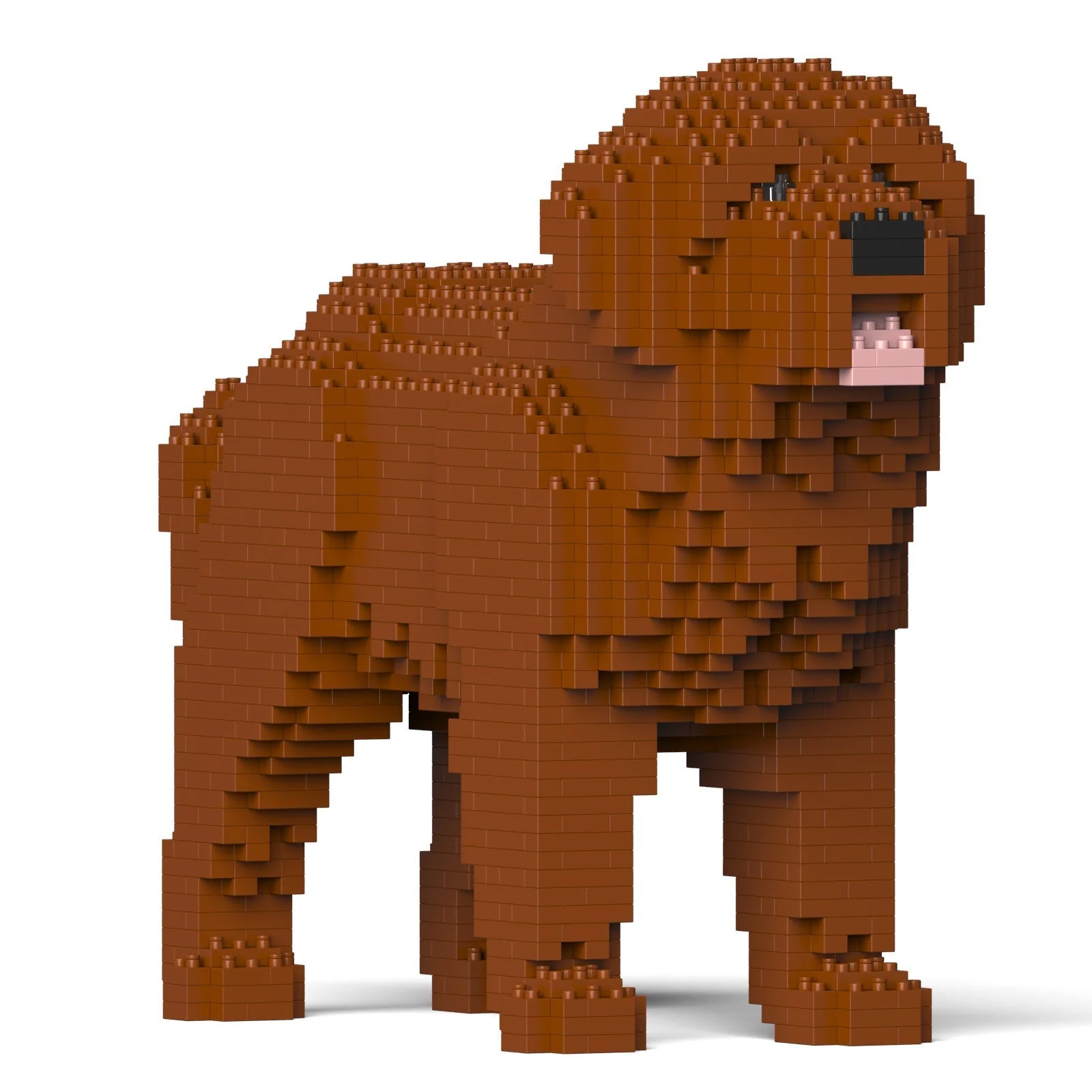 Newfoundland Dog 01-M01 - Image 3