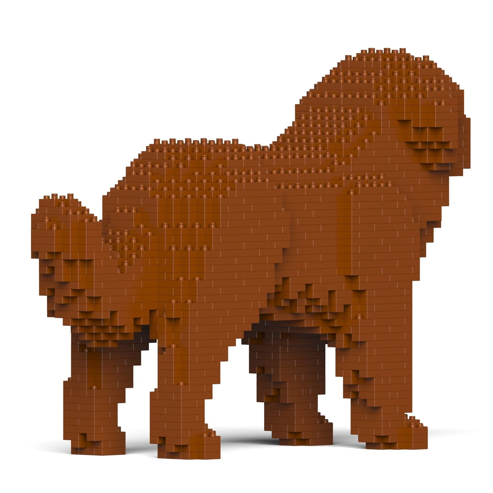 Newfoundland Dog 01-M01 - Image 4