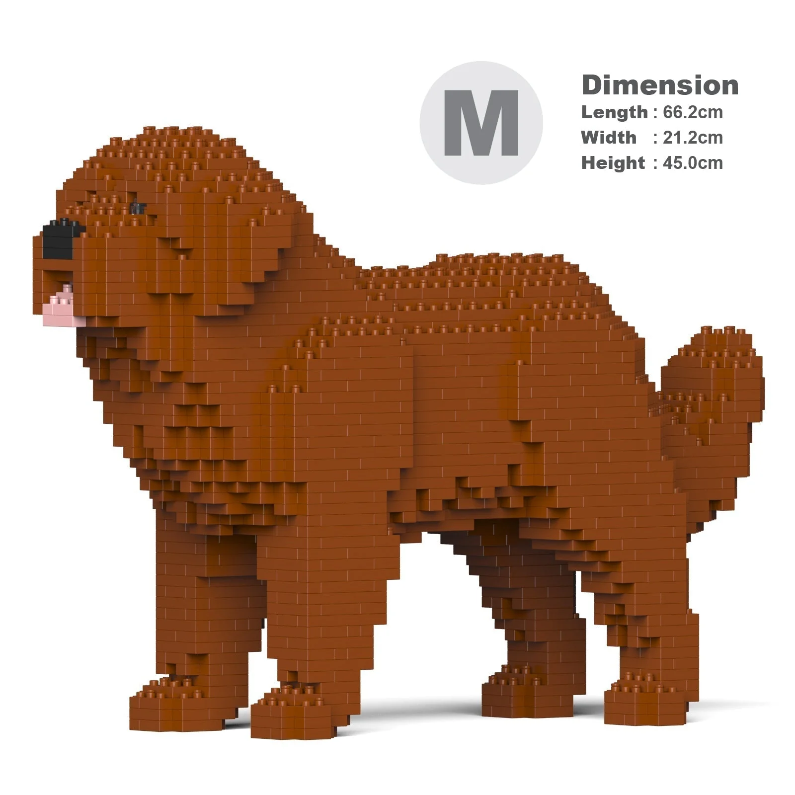 Newfoundland Dog 01-M01 - Image 5