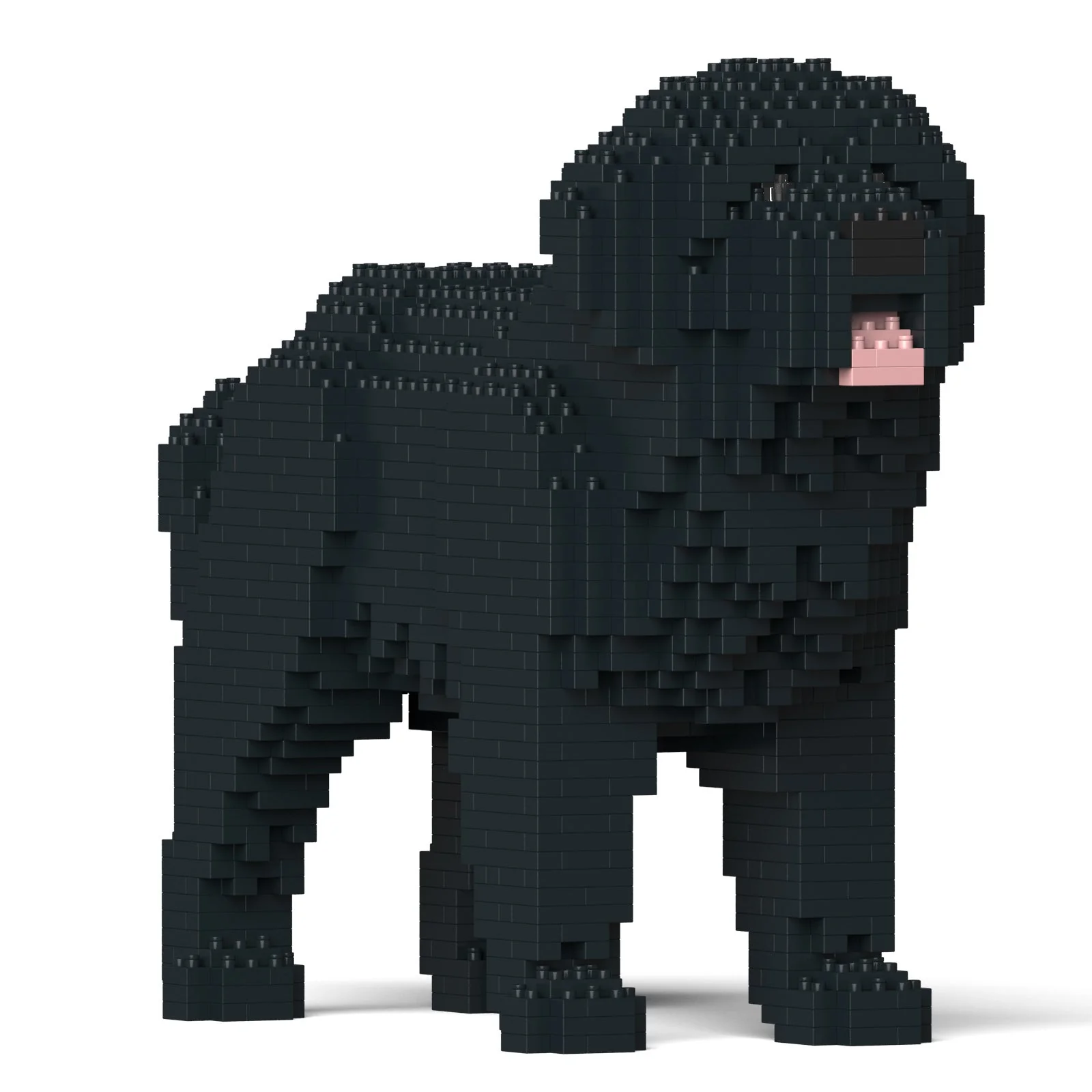 Newfoundland Dog 01-M02 - Image 3