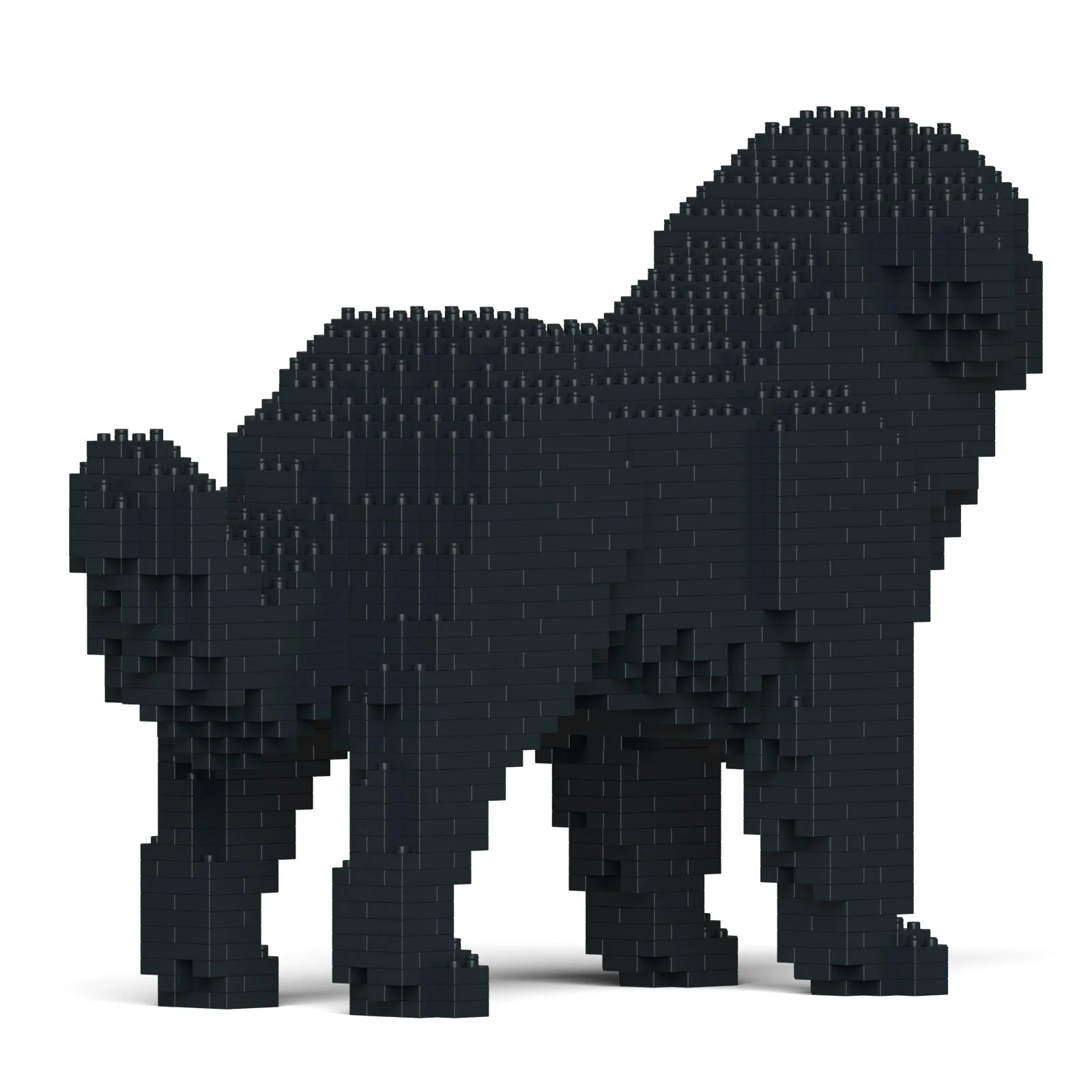 Newfoundland Dog 01-M02 - Image 4
