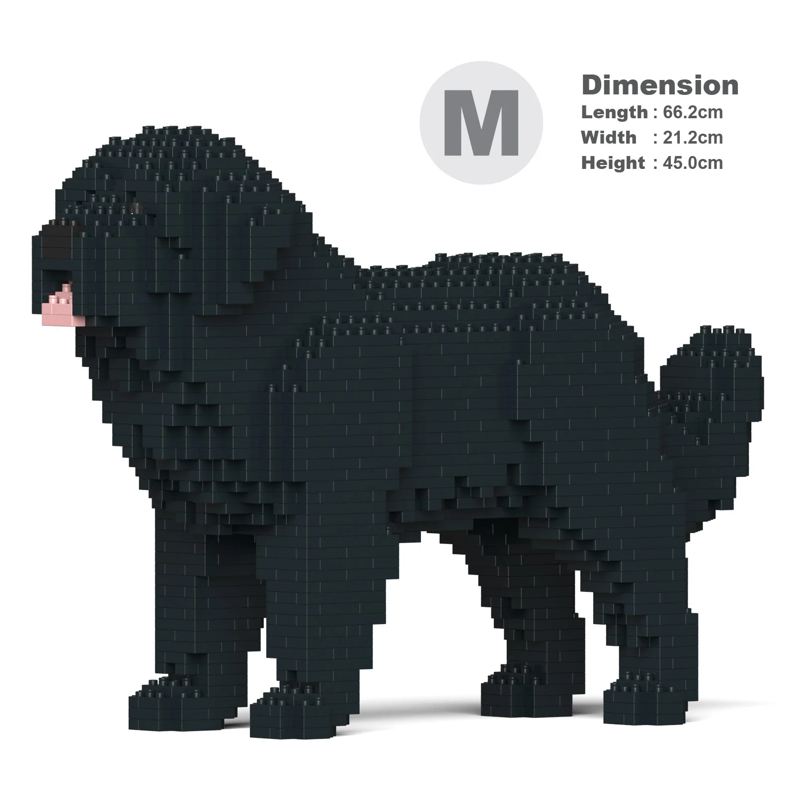 Newfoundland Dog 01-M02 - Image 5
