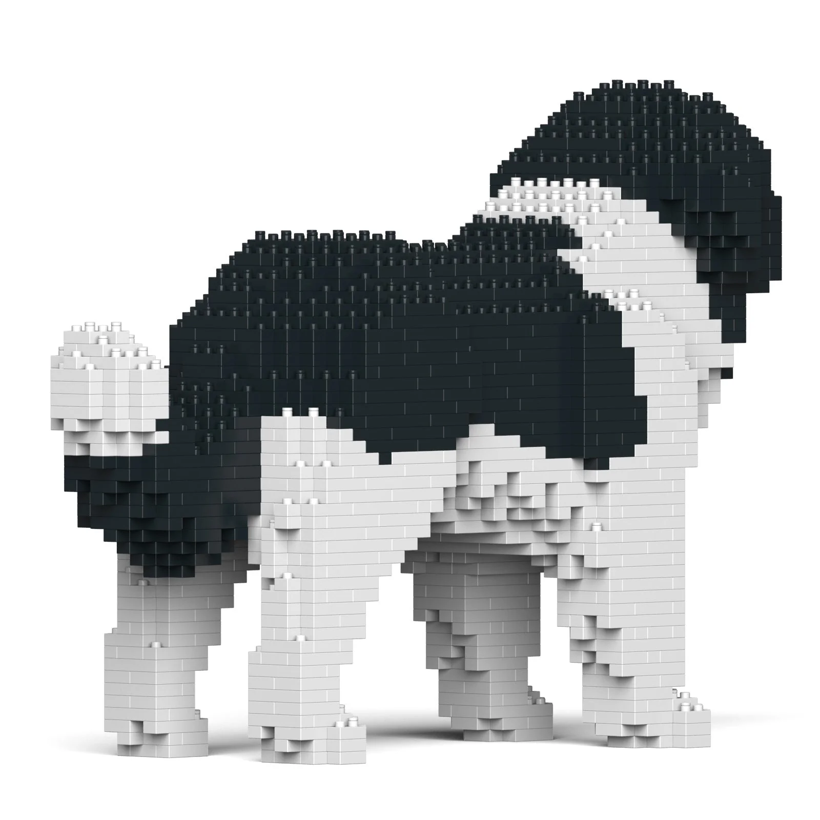 Newfoundland Dog 01-M03 - Image 4