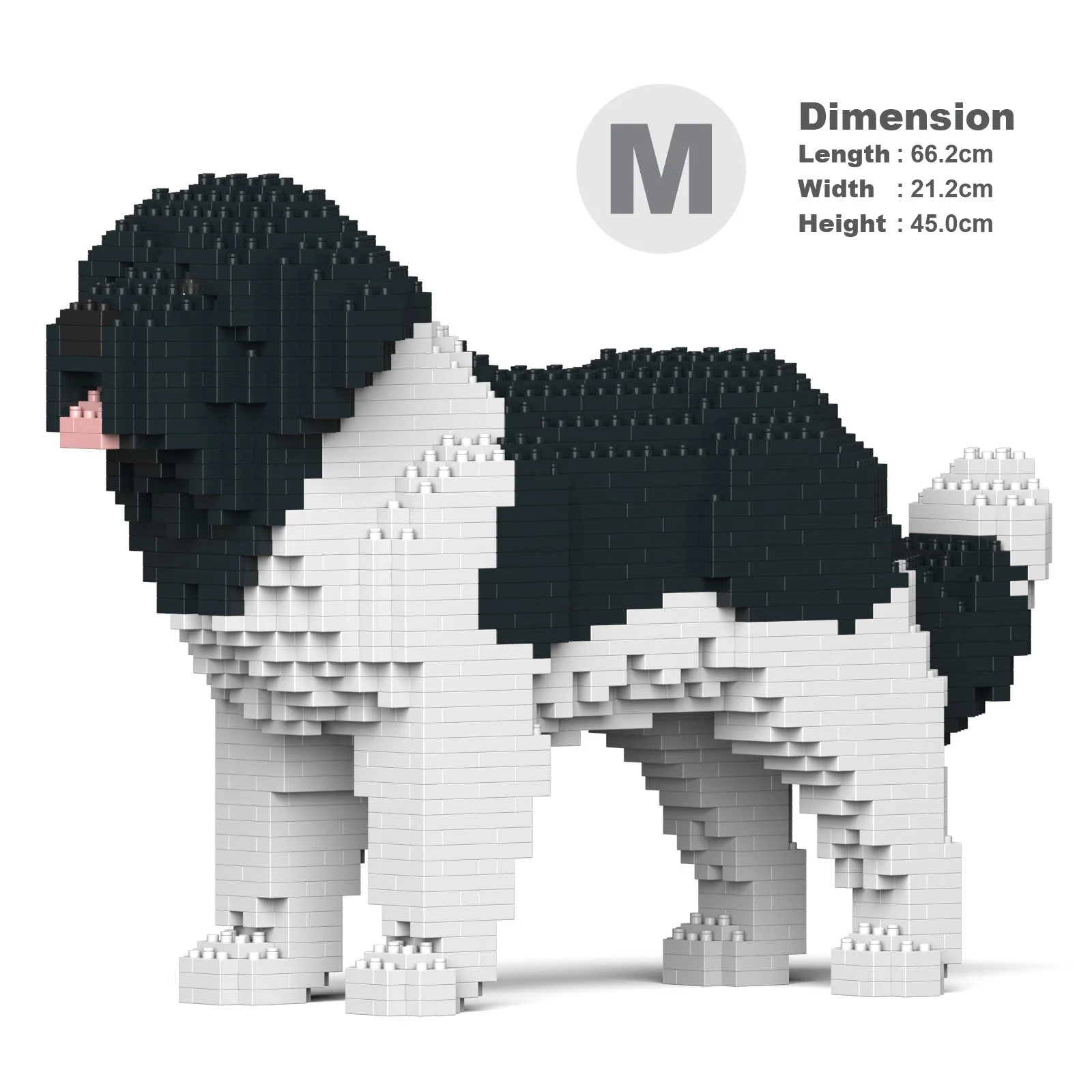 Newfoundland Dog 01-M03 - Image 5
