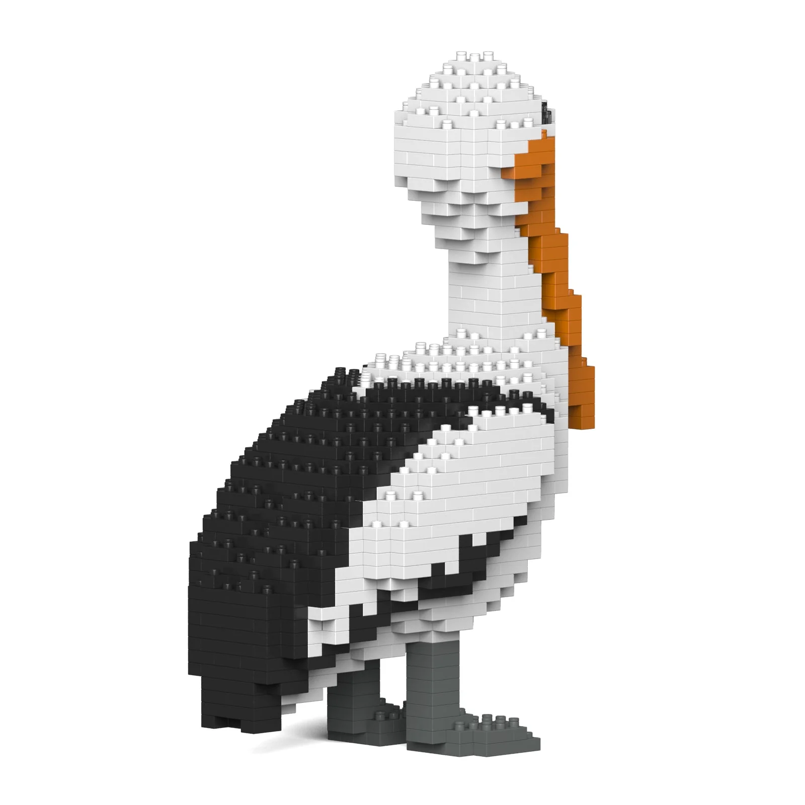 Pelican 01 - Image 4