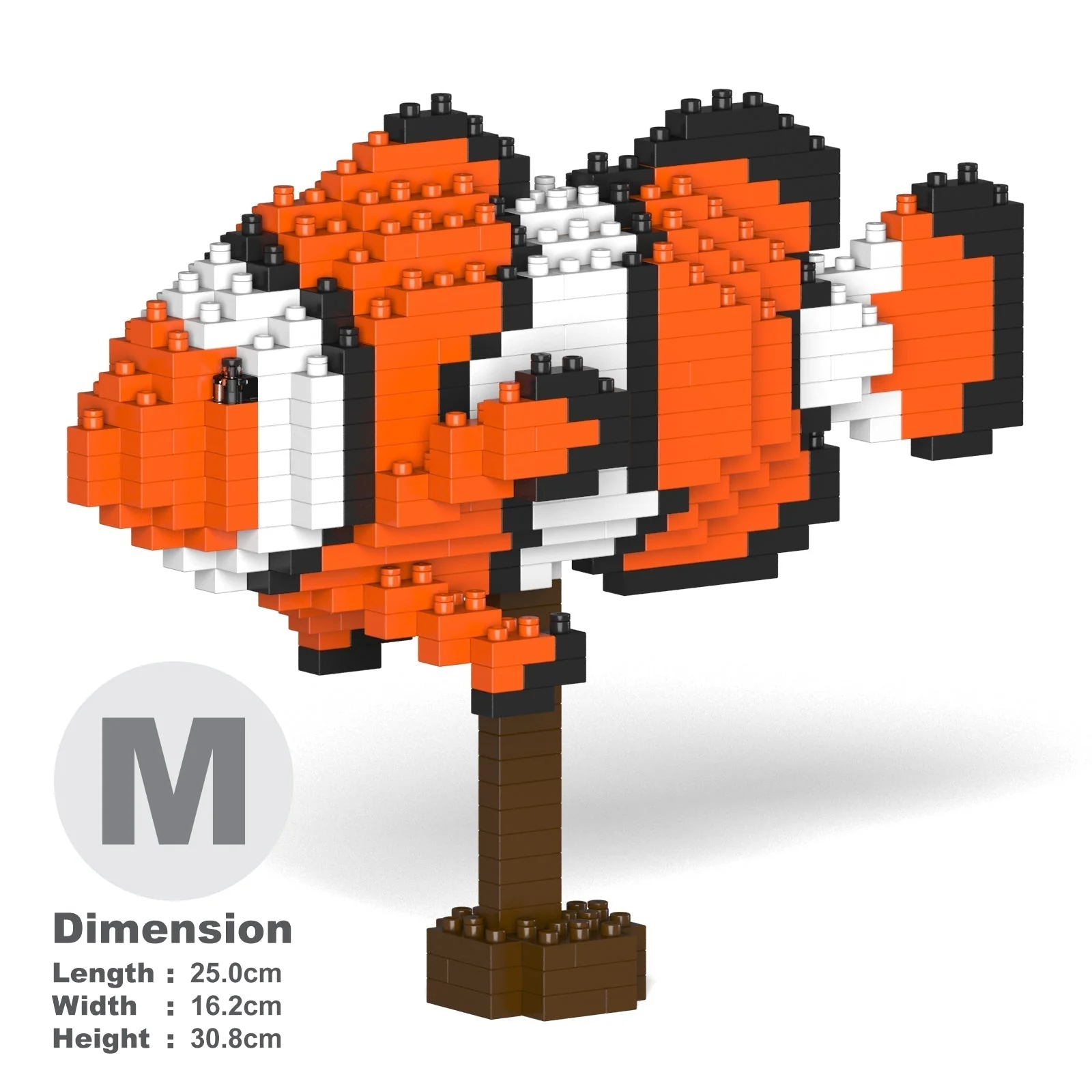 Percula Clownfish 01 - Image 5