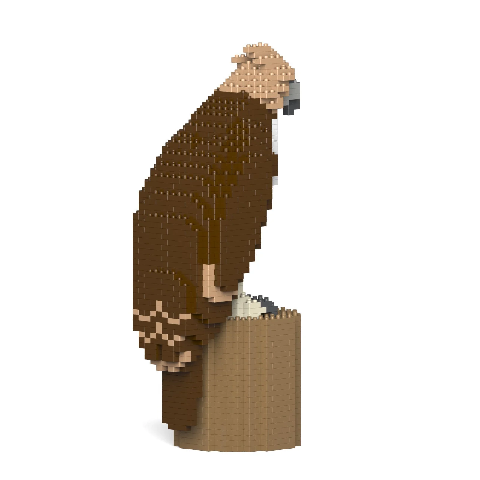 Philippine eagle 01 - Image 4