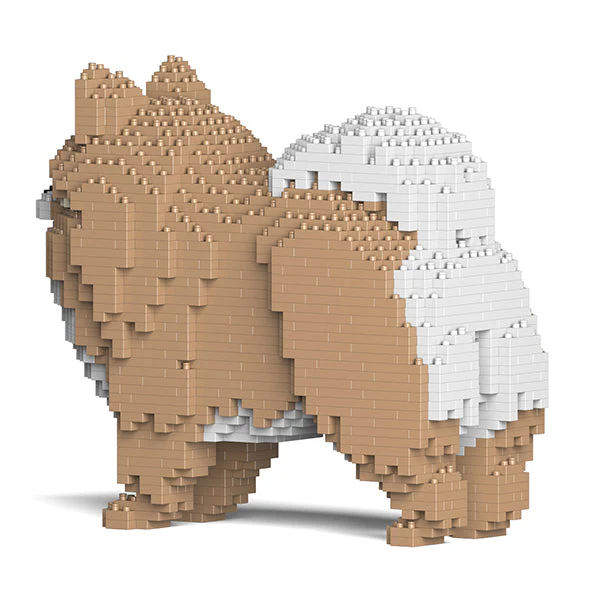 Pomeranian 02-M01 - Image 4