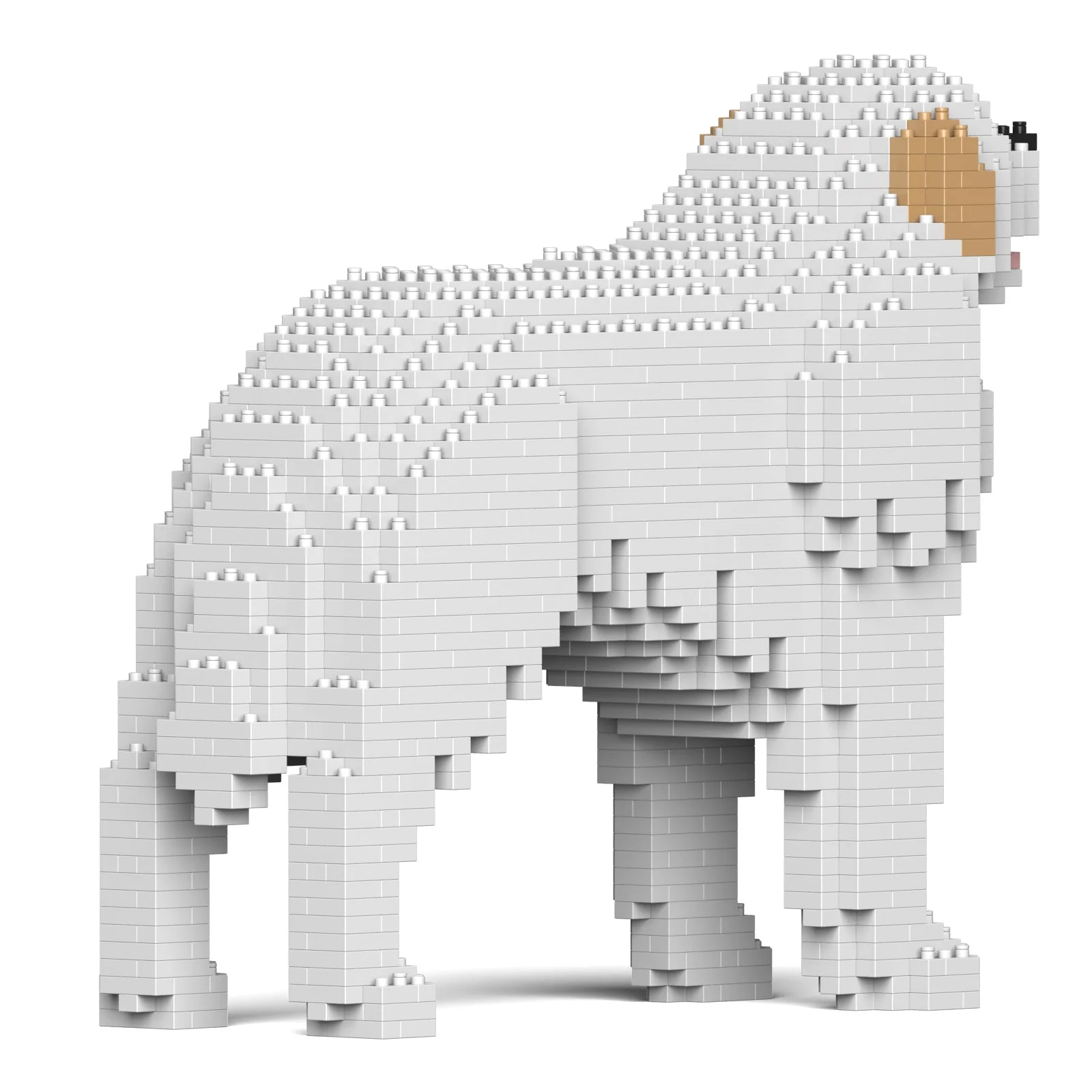 Pyrenean Mountain Dog 01 - Image 4