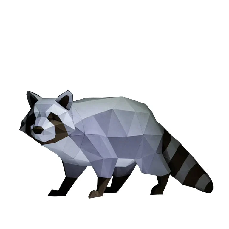 Raccoon Model - Image 3