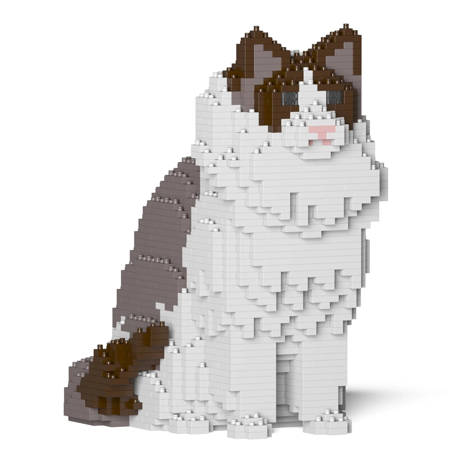 Ragdoll Cat 01S-M01 - Image 10