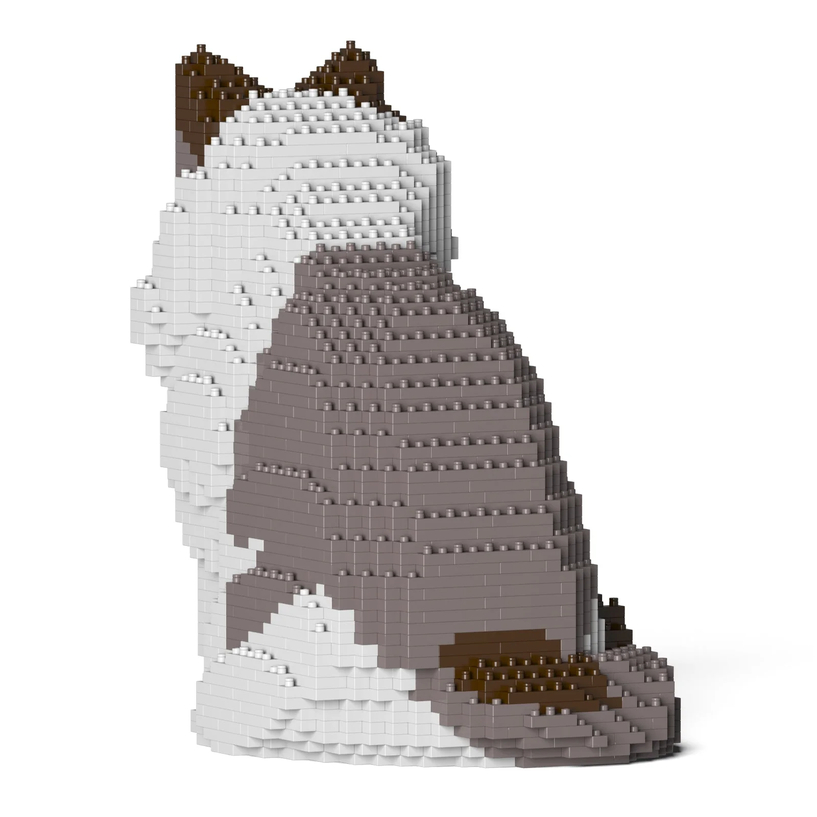 Ragdoll Cat 01S-M01 - Image 3