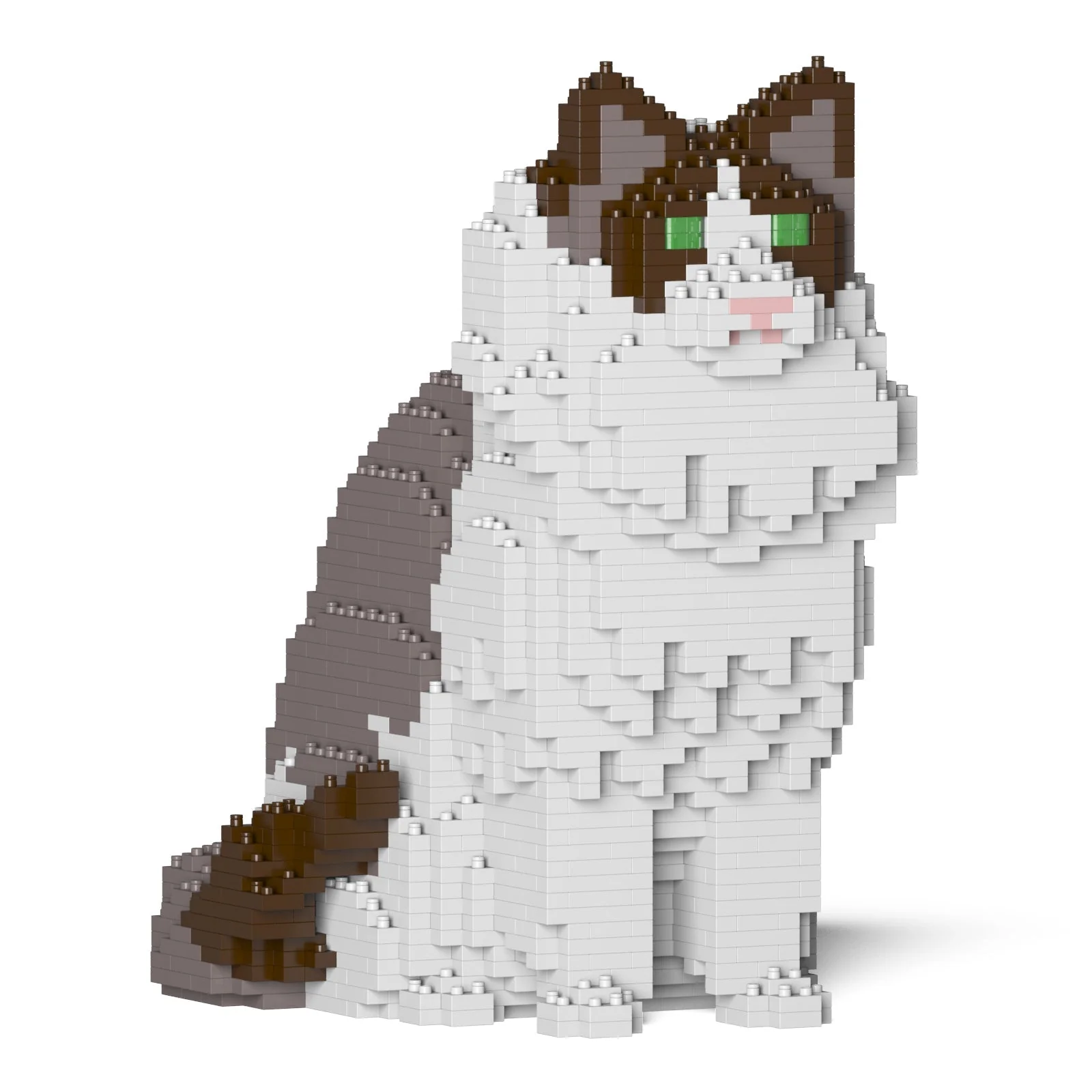 Ragdoll Cat 01S-M01 - Image 4