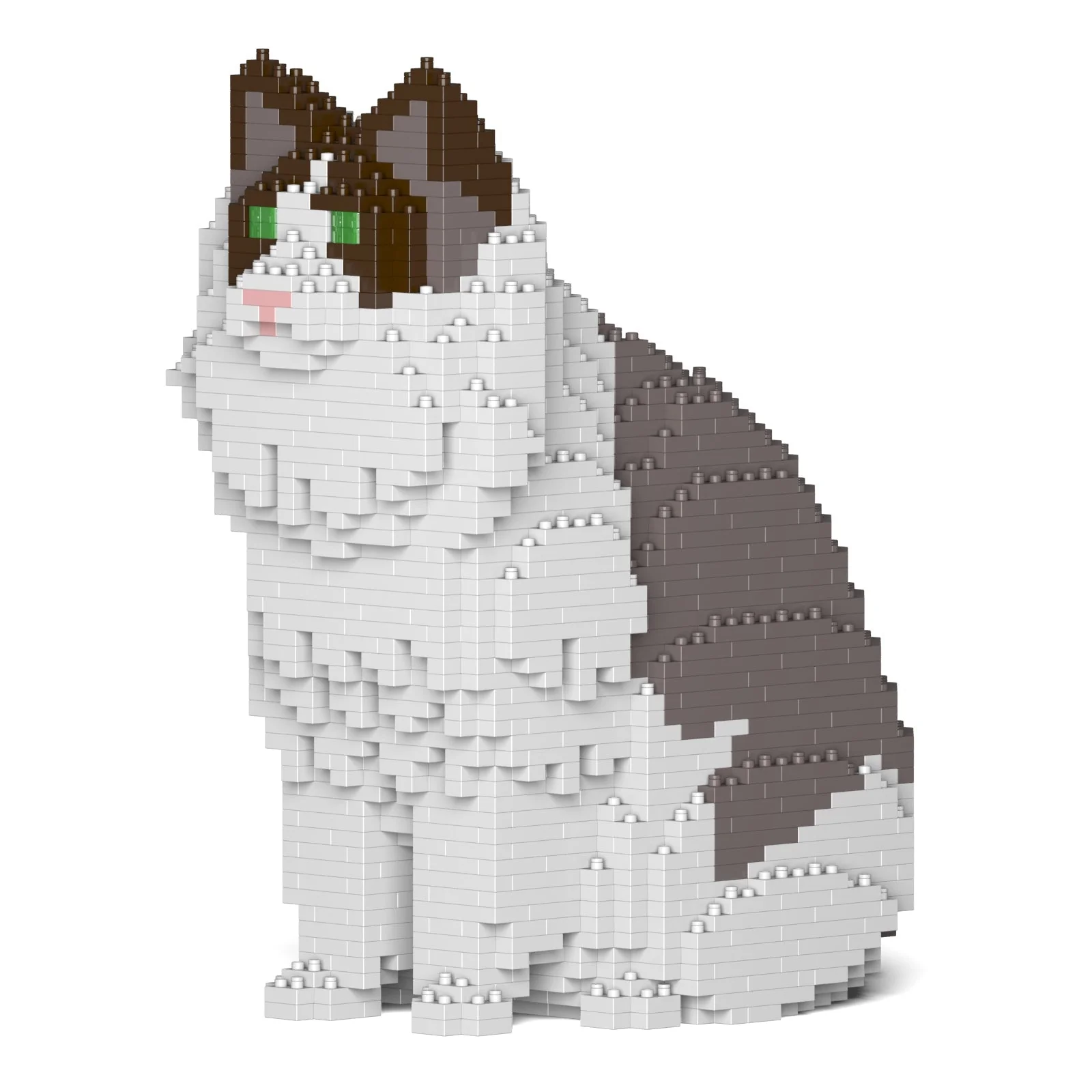 Ragdoll Cat 01S-M01 - Image 5