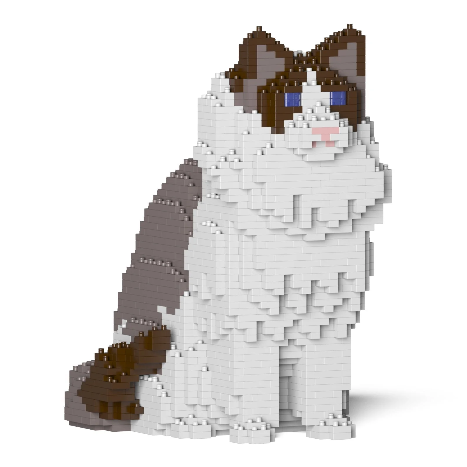 Ragdoll Cat 01S-M01 - Image 6