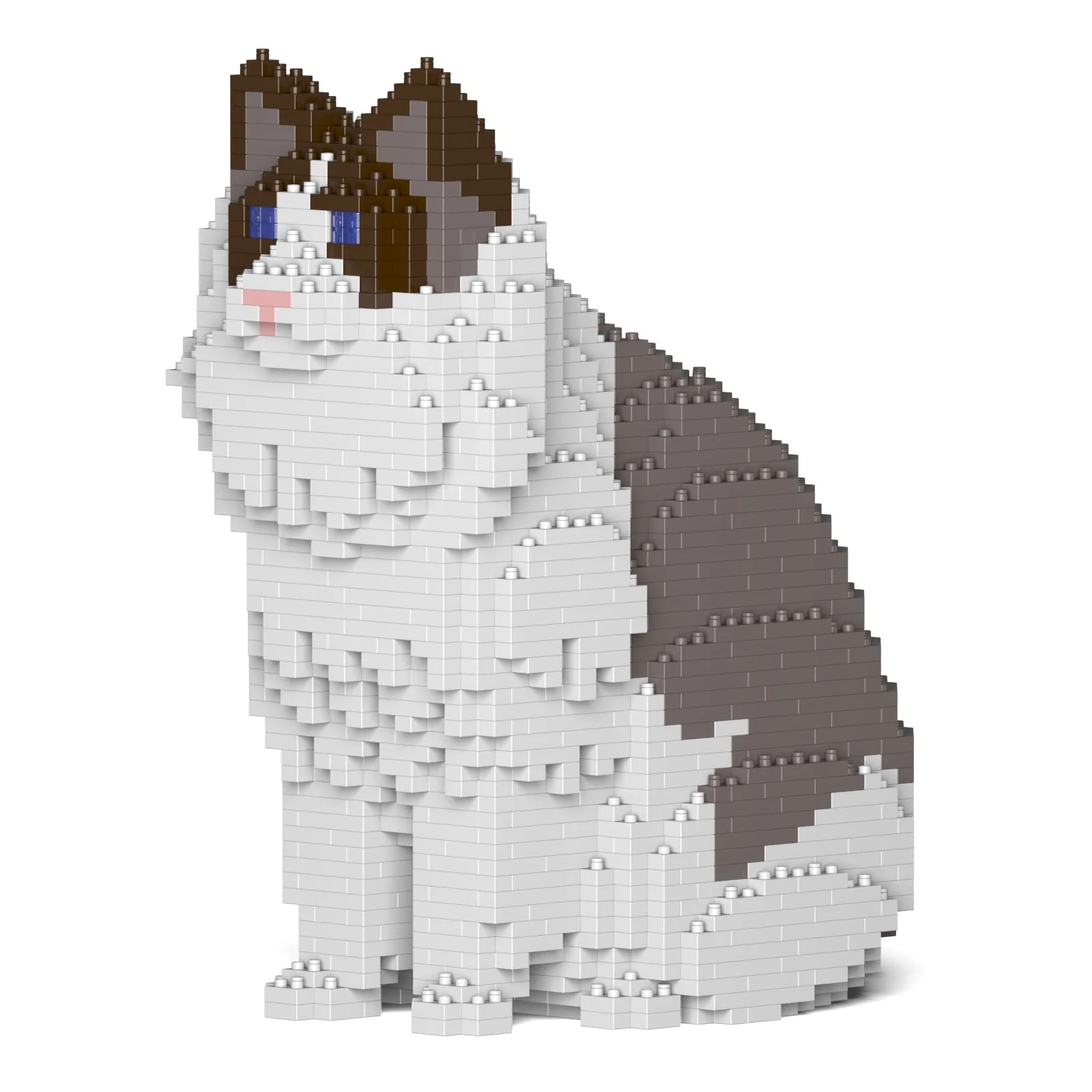 Ragdoll Cat 01S-M01 - Image 7
